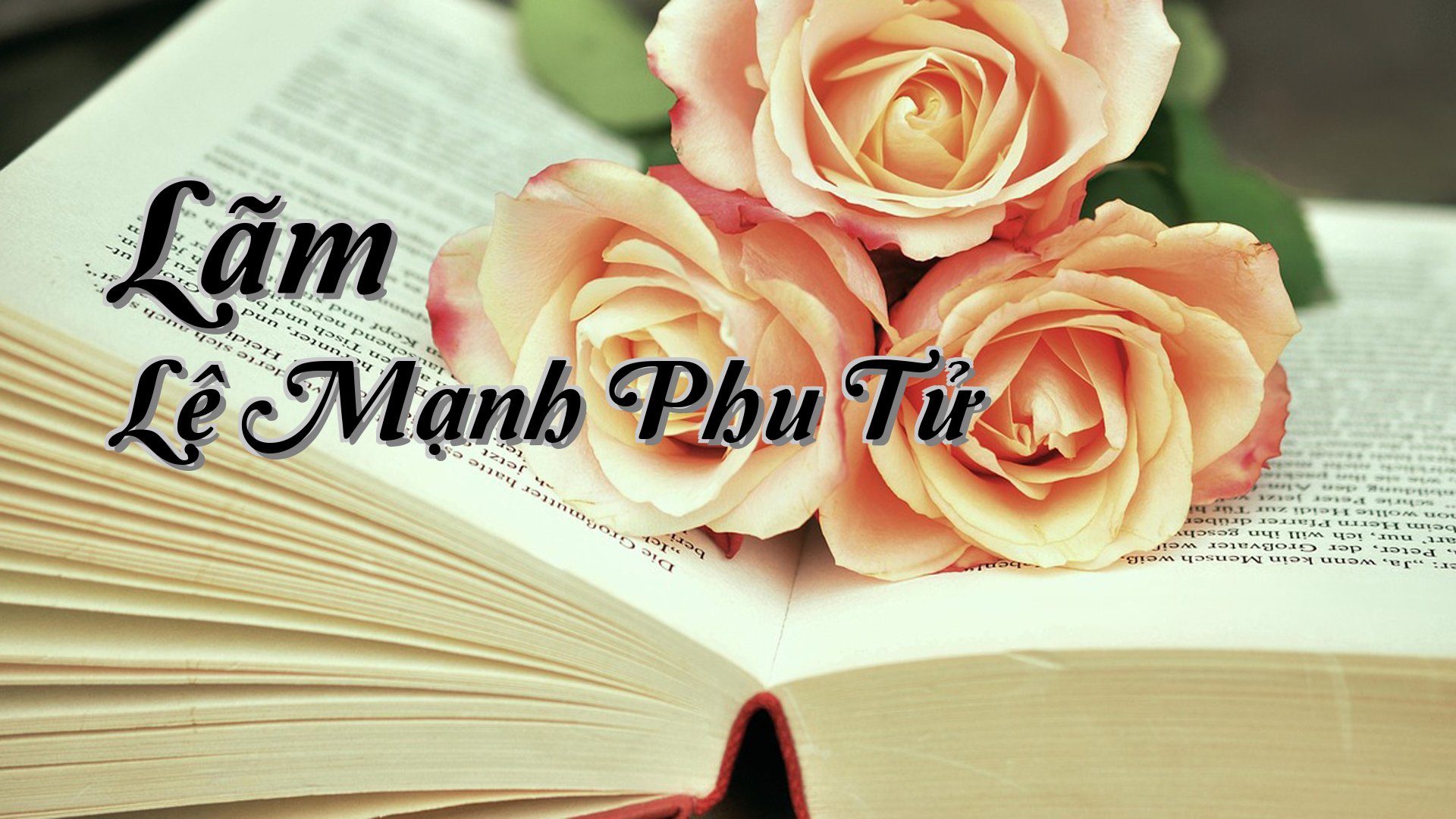 cover-Lãm Lệ Mạnh Phu Tử