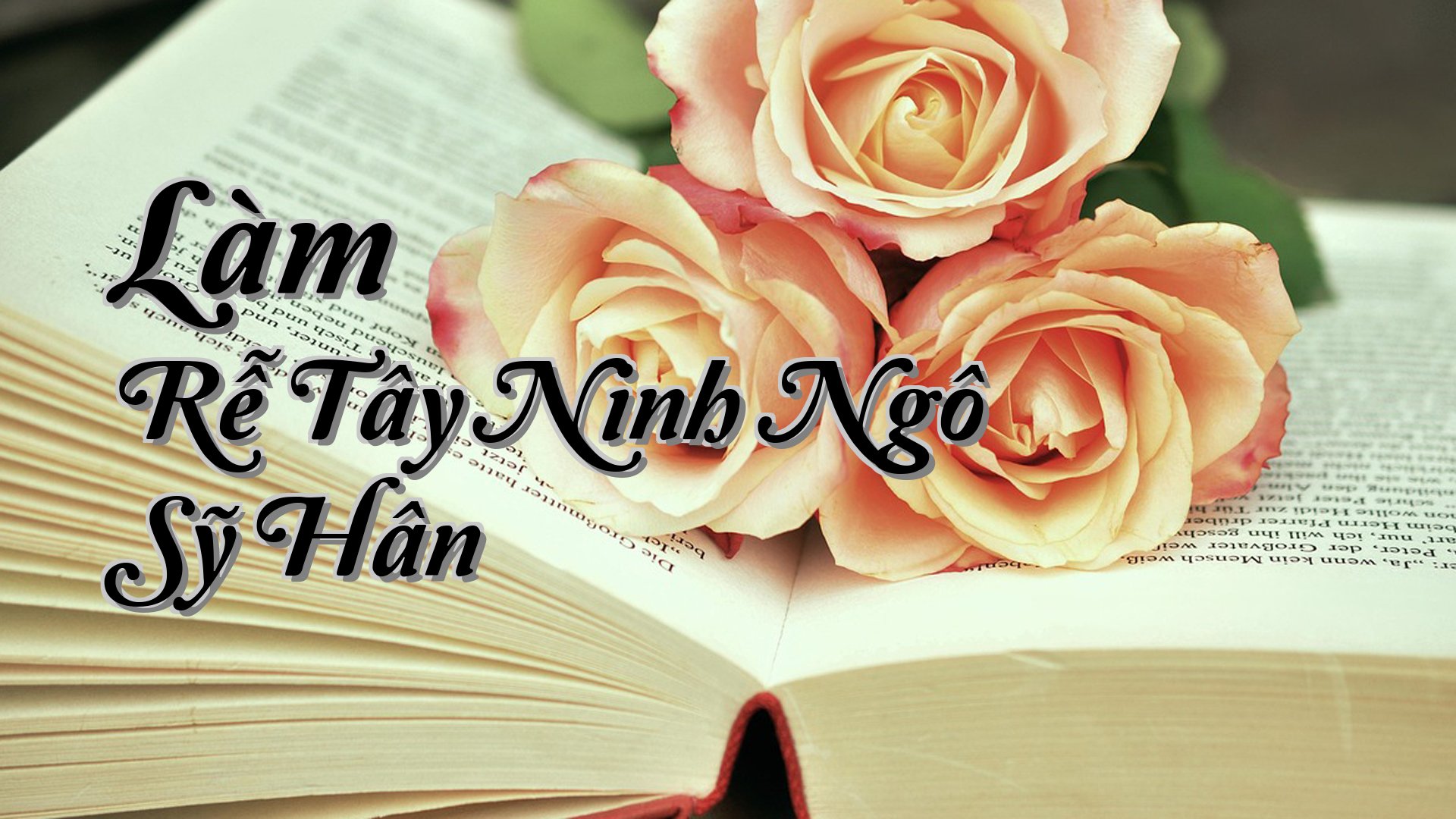 cover-Làm Rễ Tây Ninh Ngô Sỹ Hân