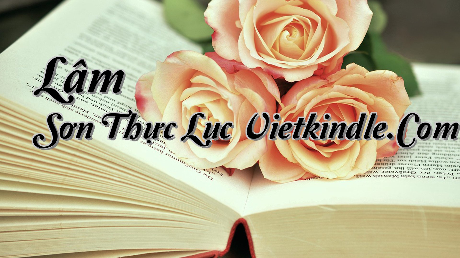 cover-Lâm Sơn Thực Lục Vietkindle.Com