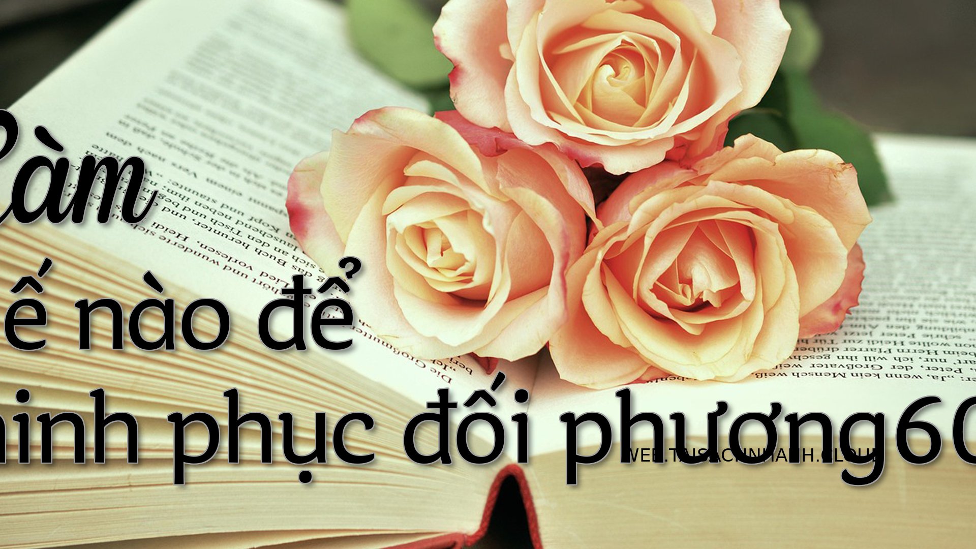 Cover Lam the nao de chinh.jpg