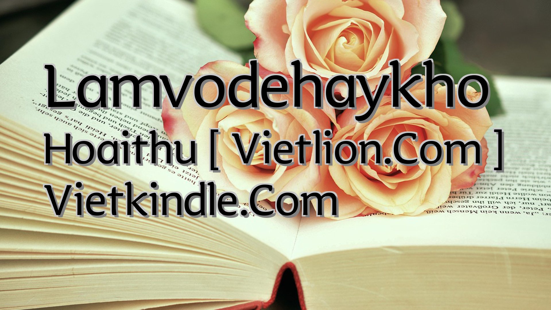 cover-Lamvodehaykho Hoaithu [ Vietlion.Com ] Vietkindle.Com