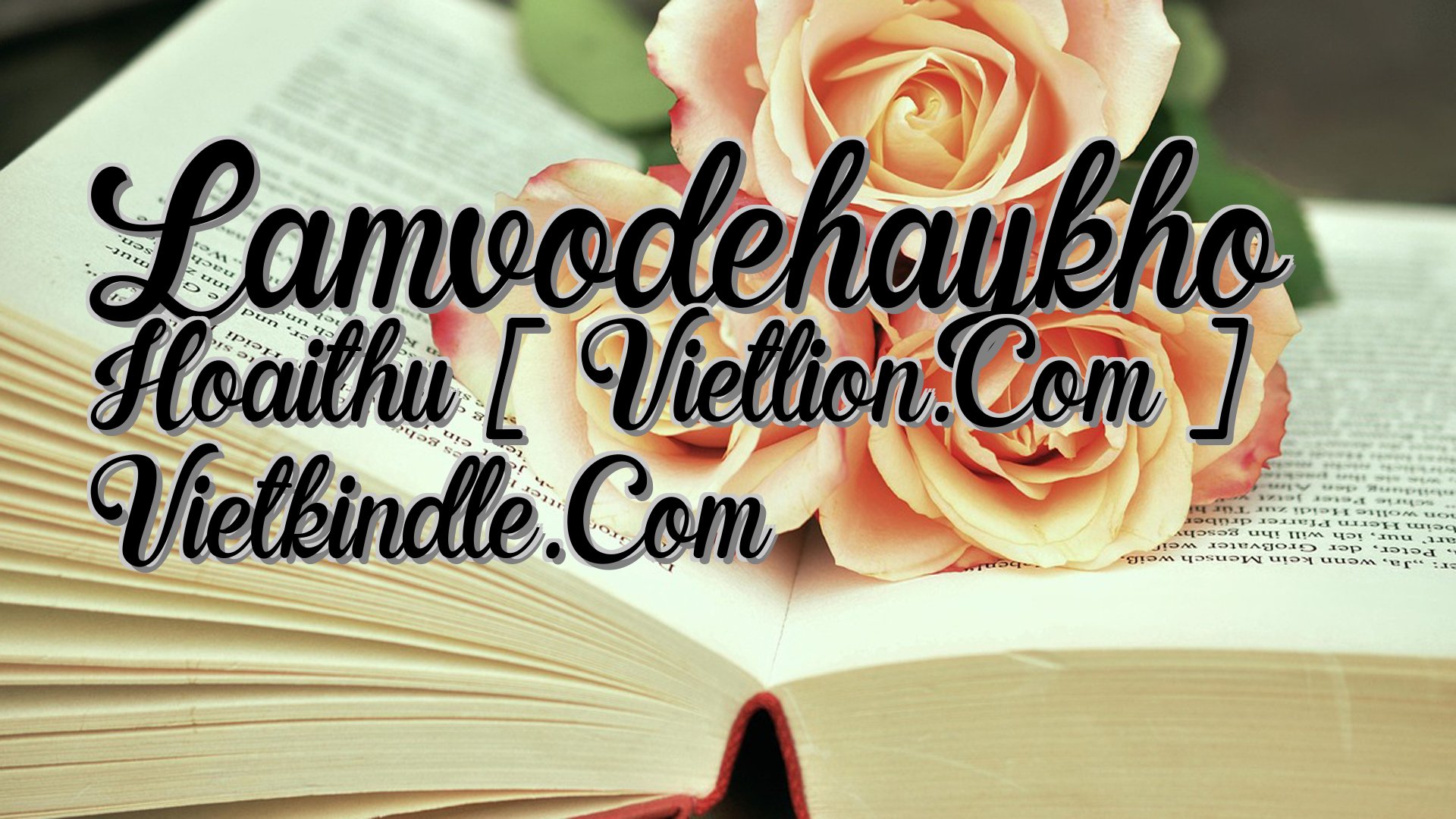 cover-Lamvodehaykho Hoaithu [ Vietlion.Com ] Vietkindle.Com