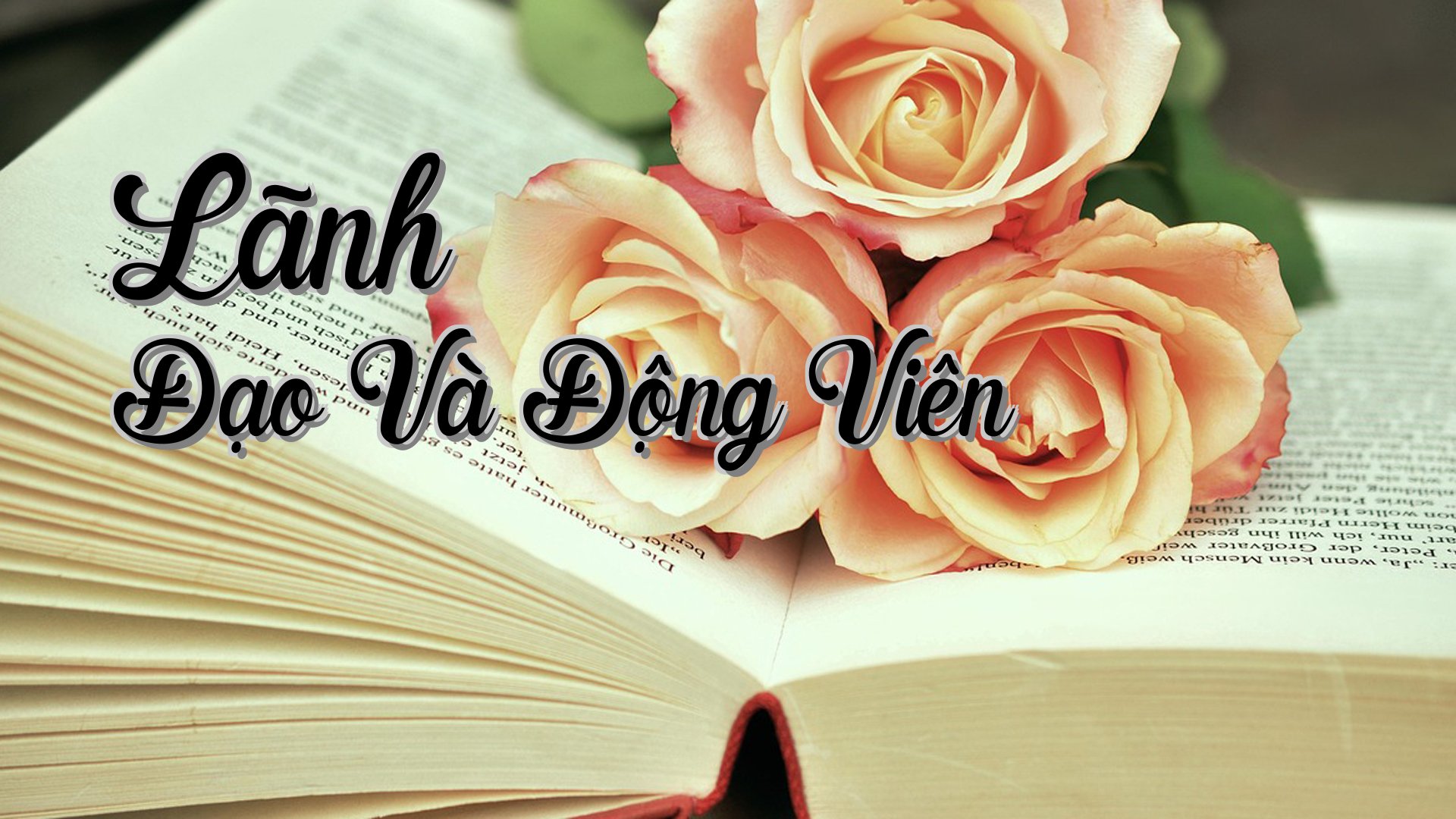 cover-Lãnh Đạo Và Động Viên