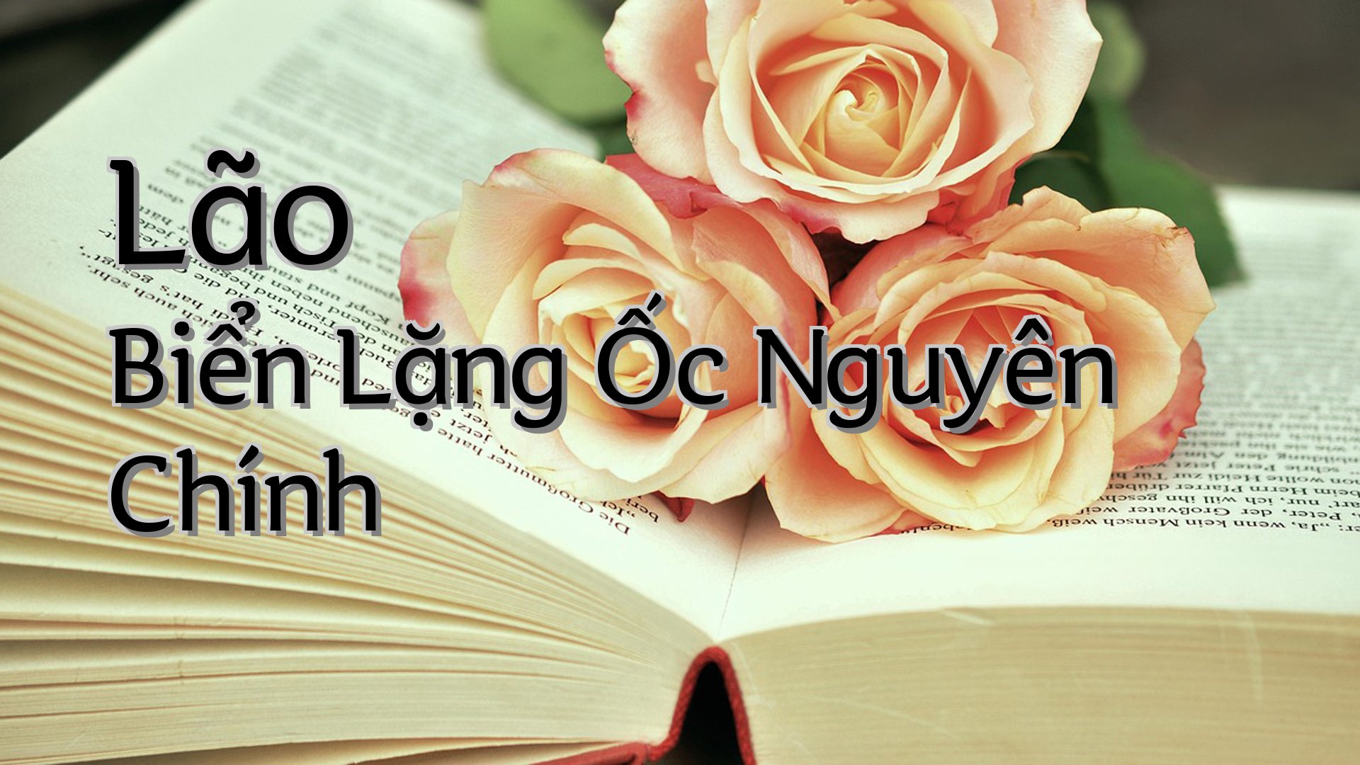 cover-Lão Biển Lặng Ốc Nguyên Chính