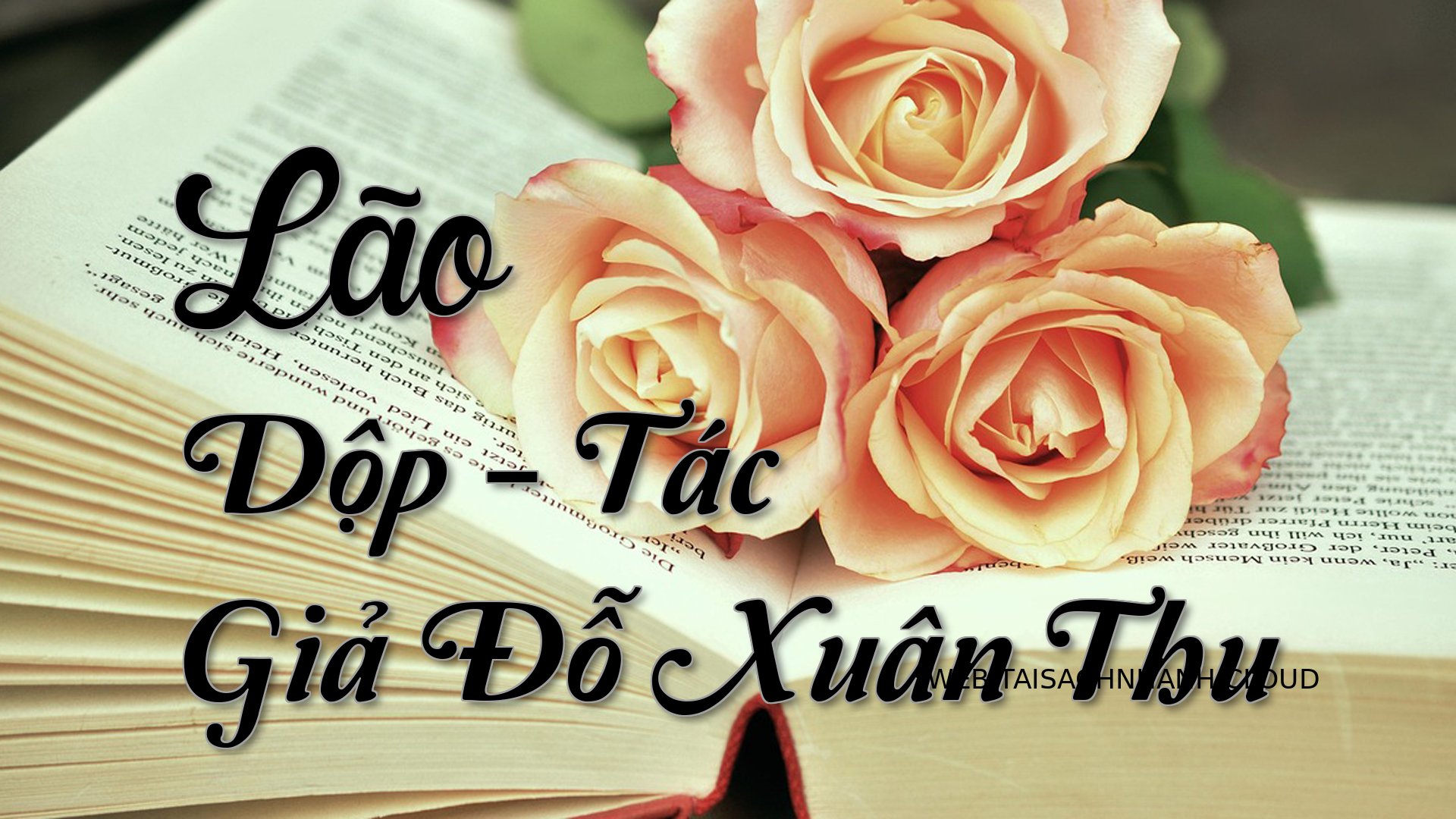 Cover Lao Dop.jpg