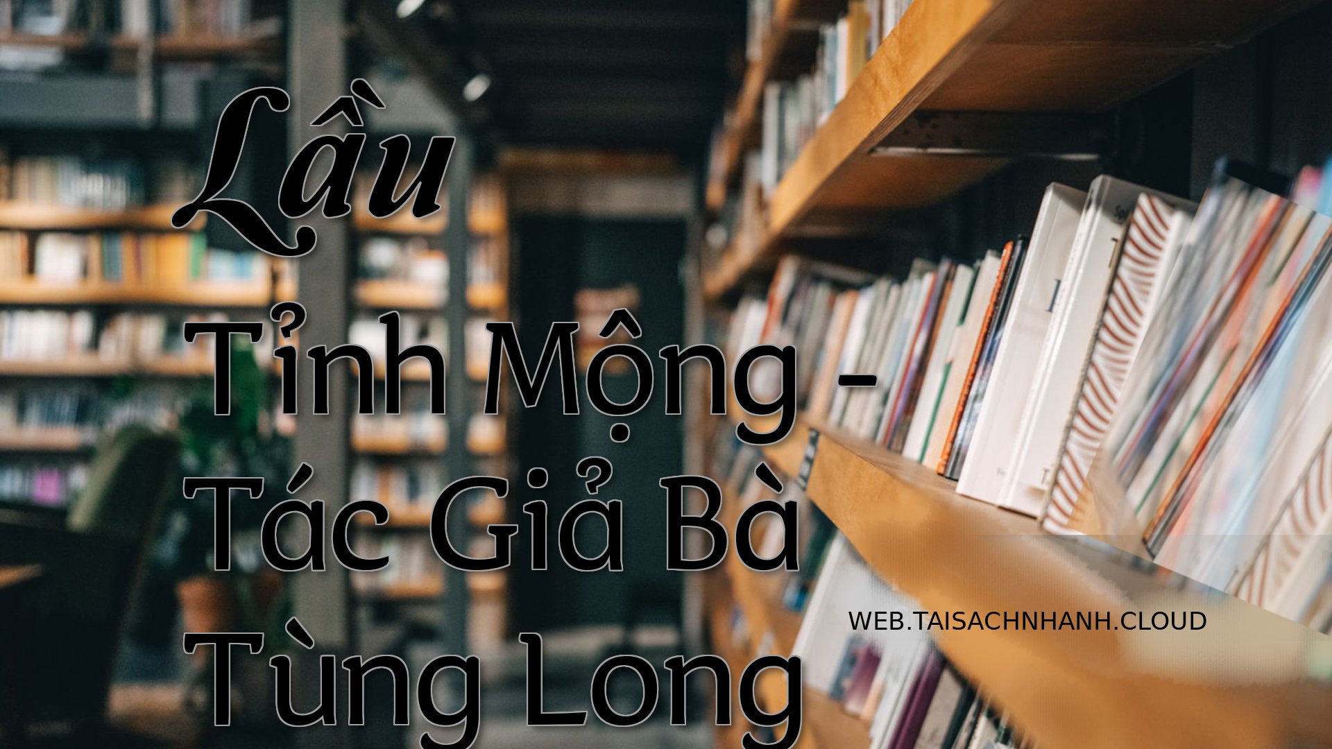 Cover Lau Tinh Mong.jpg