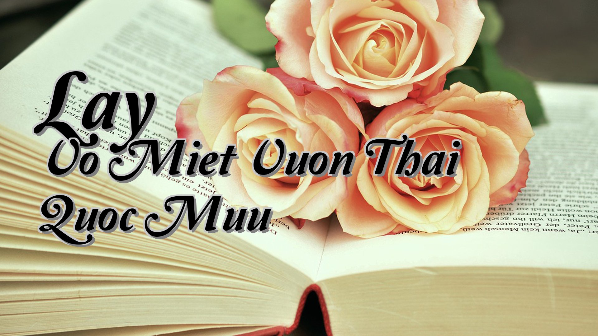 cover-Lay Vo Miet Vuon Thai Quoc Muu