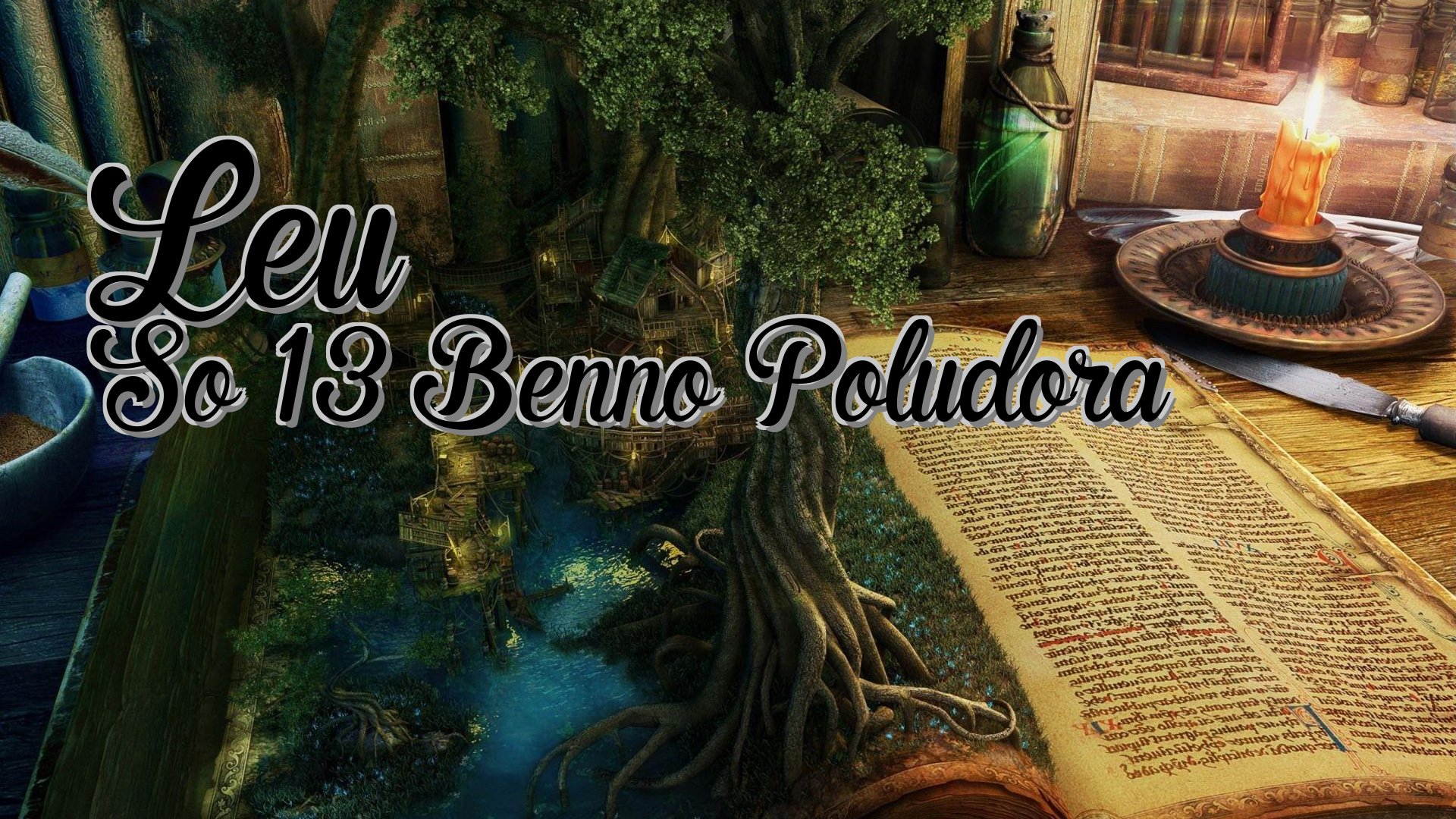 cover-Leu So 13 Benno Poludora