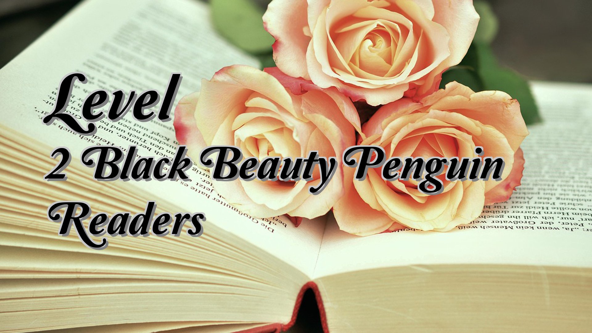 cover-Level 2 Black Beauty Penguin Readers