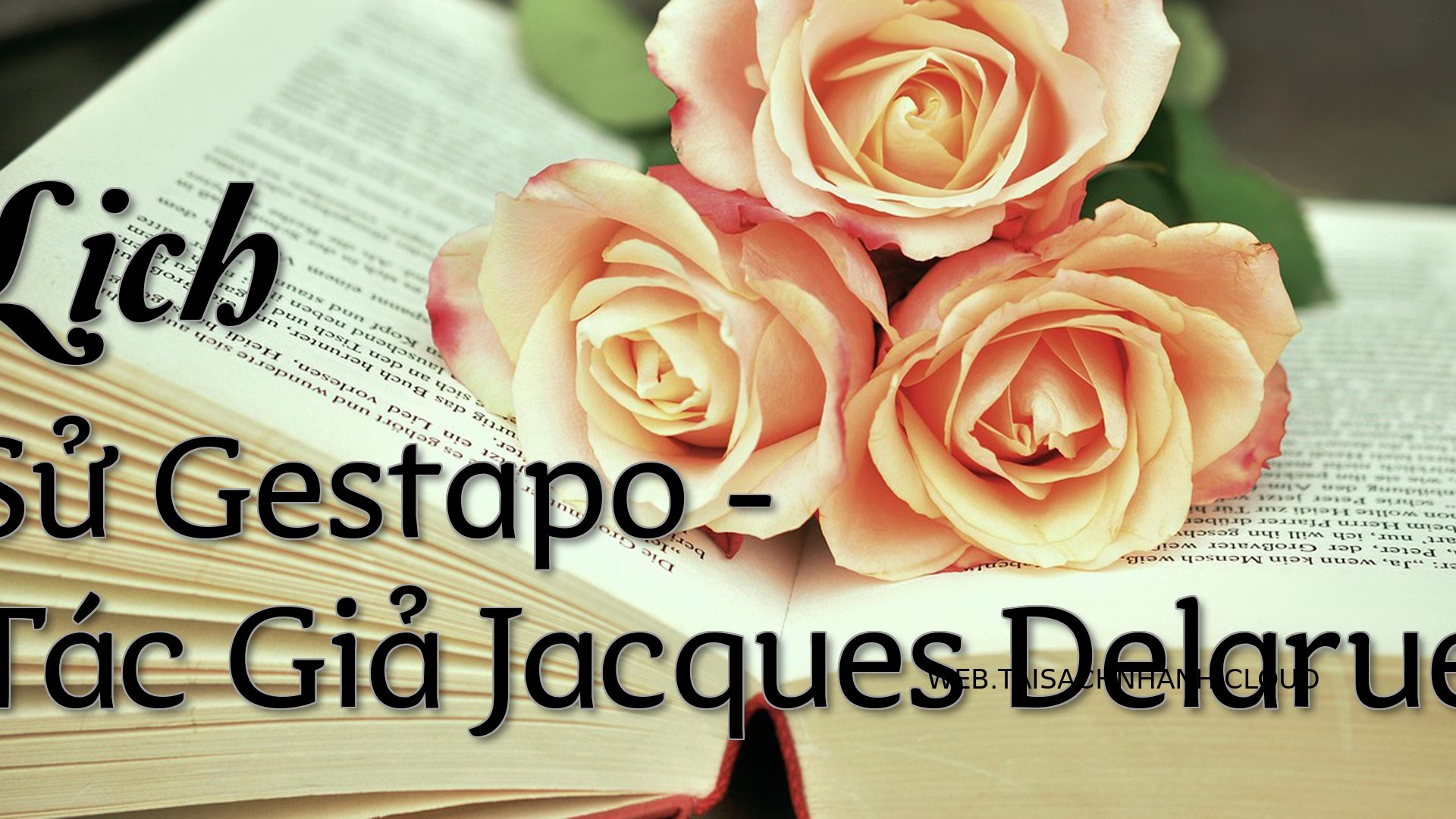 Cover Lich Su Gestapo.jpg