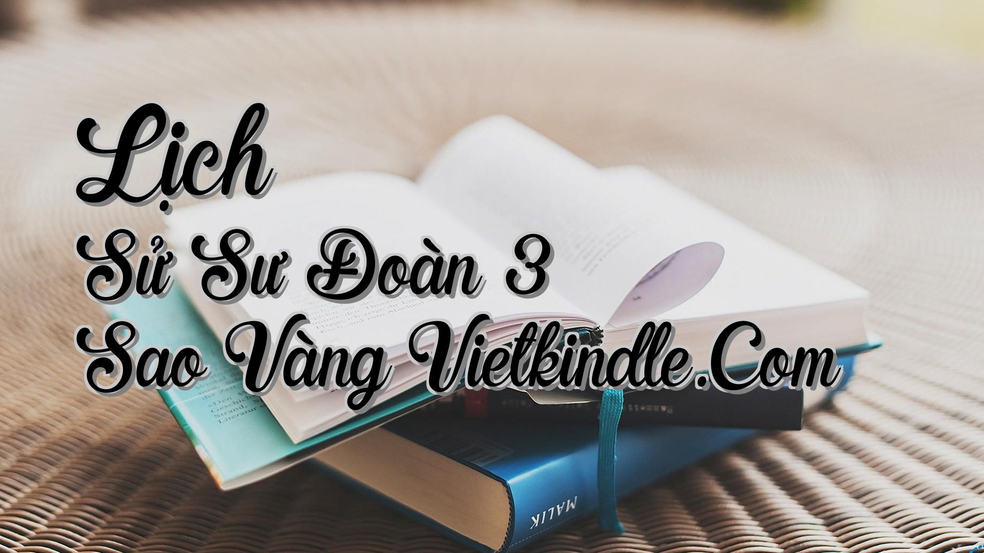 cover-Lịch Sử Sư Đoàn 3 Sao Vàng Vietkindle.Com