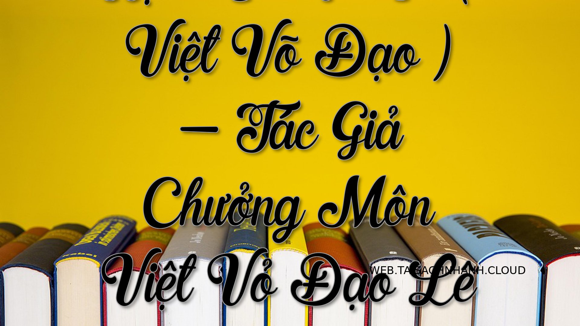 Cover Lich Su Vo Ta Viet.jpg