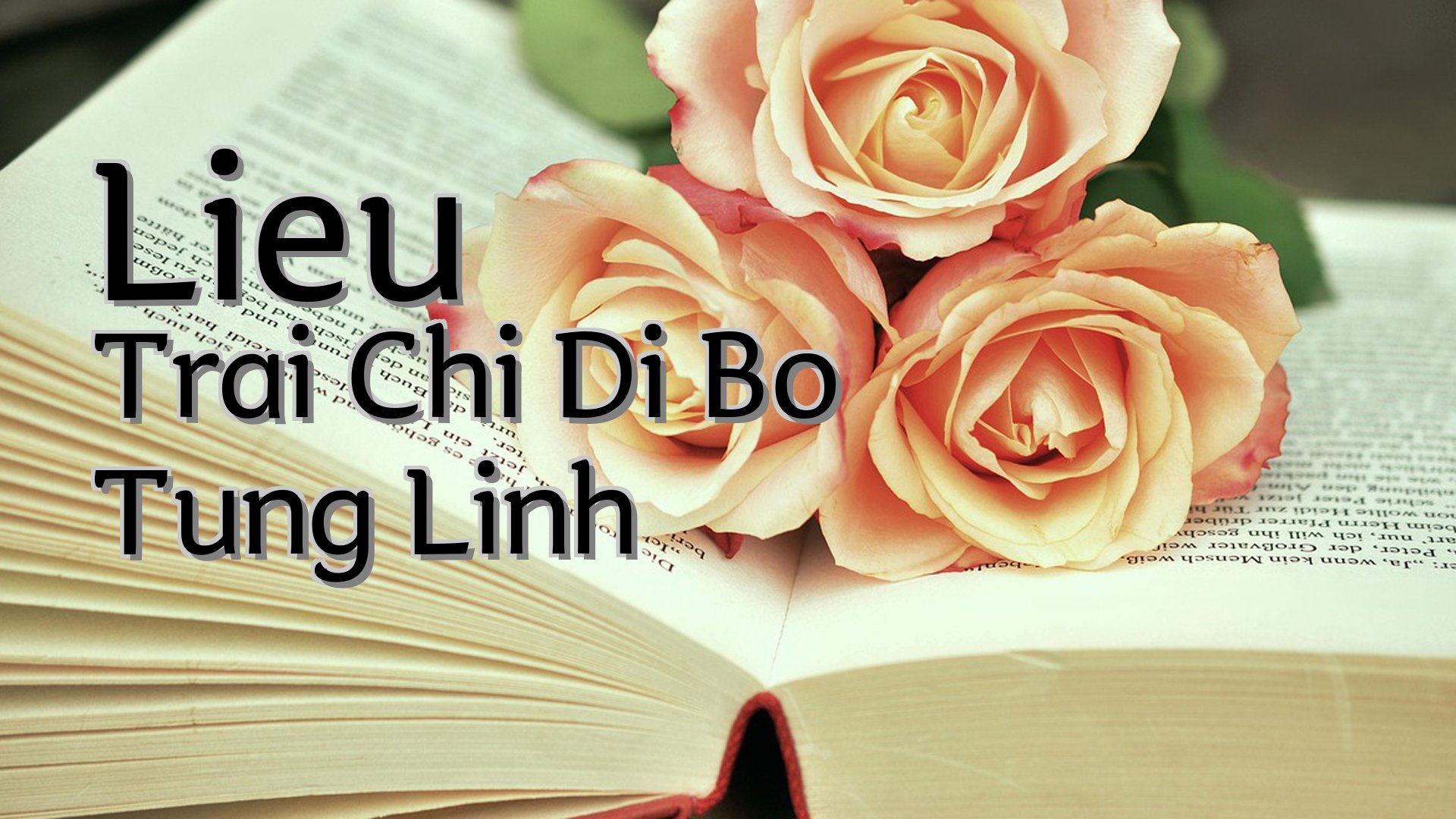 cover-Lieu Trai Chi Di Bo Tung Linh