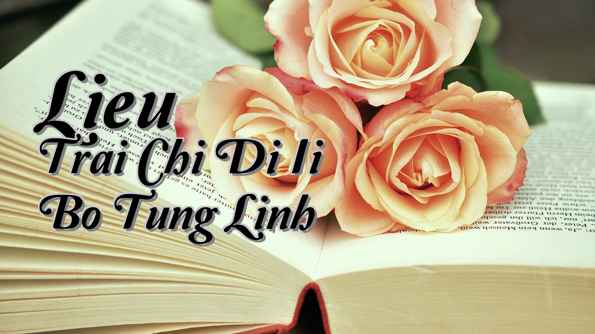 cover-Lieu Trai Chi Di Ii Bo Tung Linh