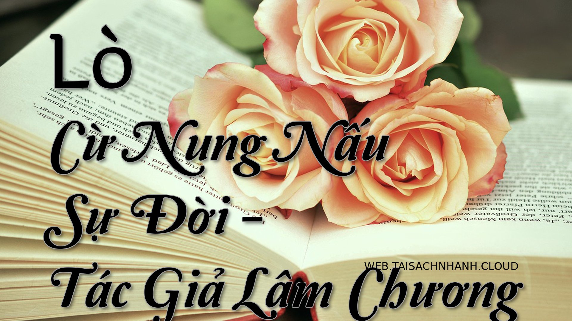 Cover Lo Cu Nung Nau Su Do.jpg