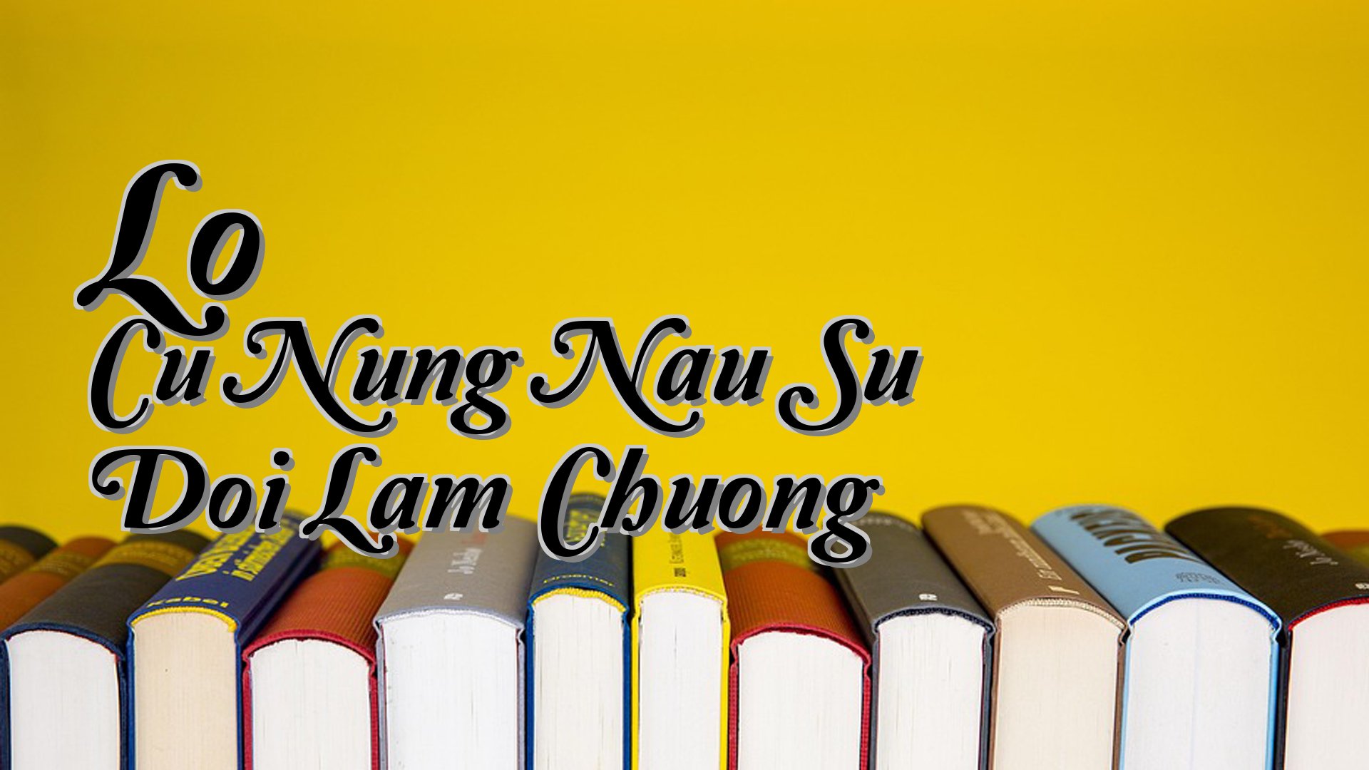 cover-Lo Cu Nung Nau Su Doi Lam Chuong