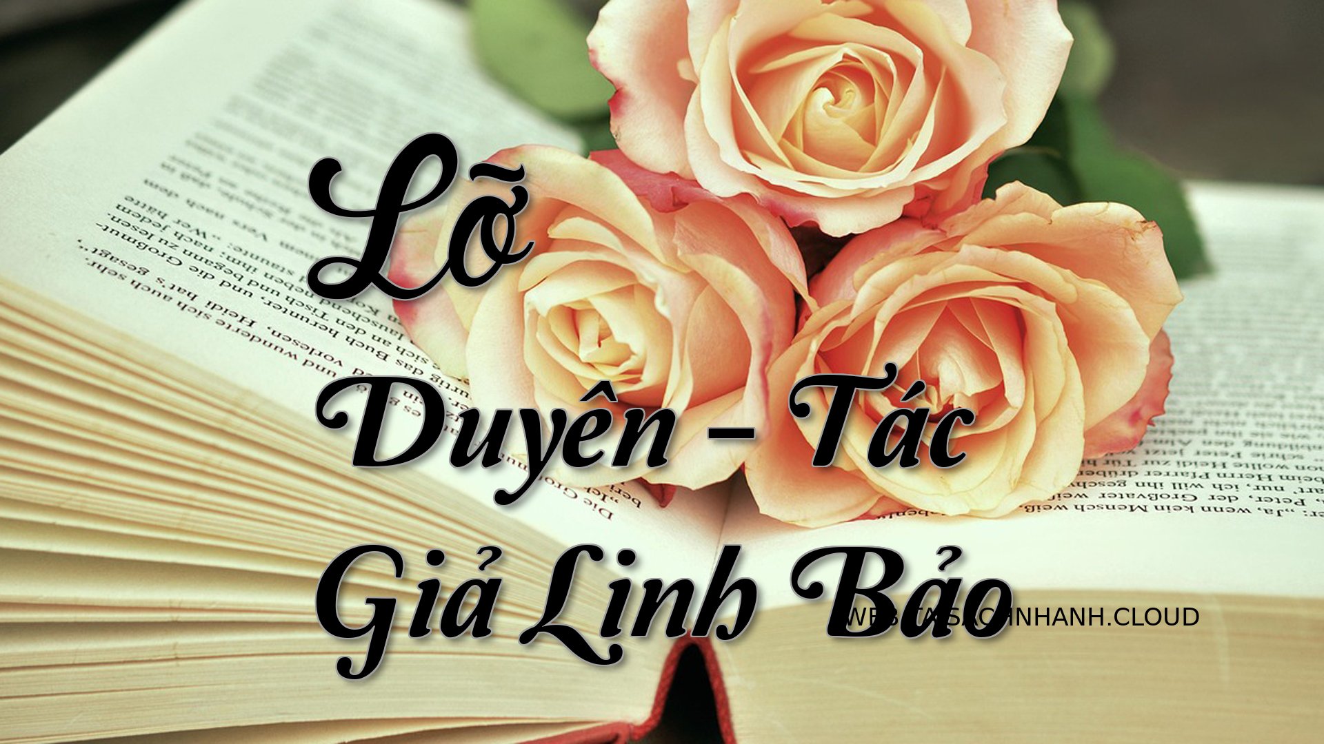 Cover Lo Duyen.jpg