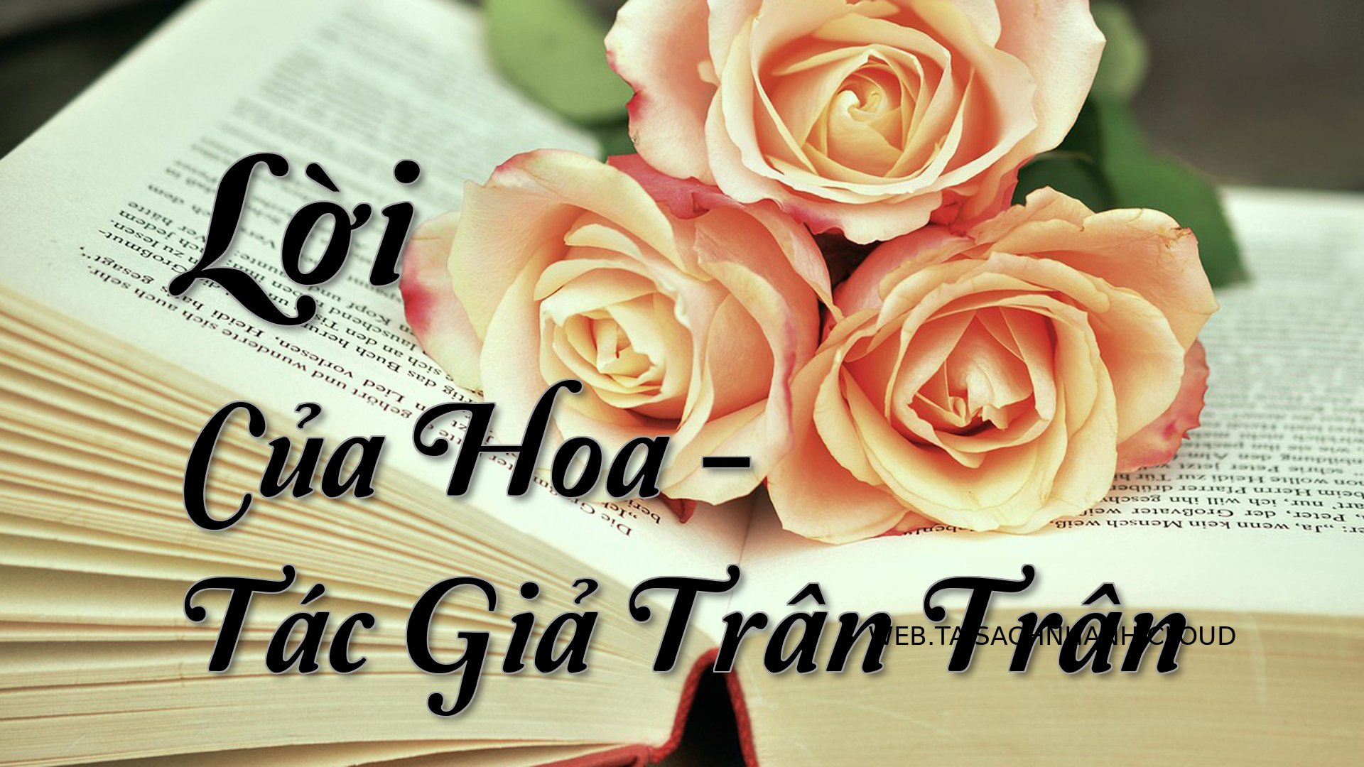 Cover Loi Cua Hoa.jpg