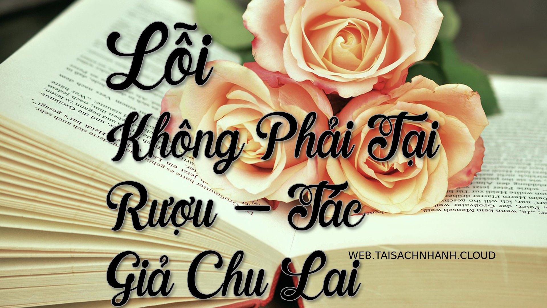 Cover Loi Khong Phai Tai R.jpg