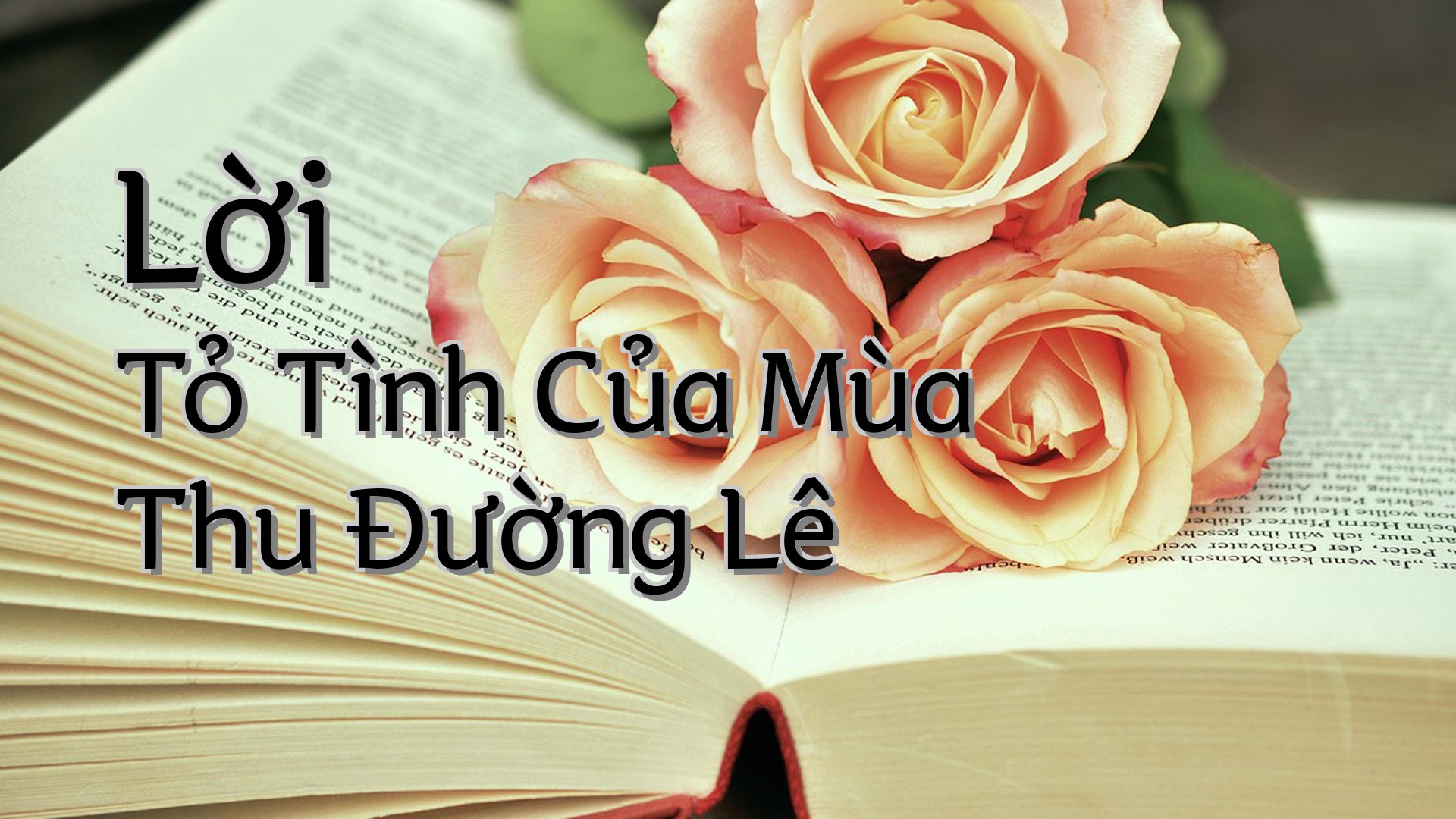 cover-Lời Tỏ Tình Của Mùa Thu Đường Lê