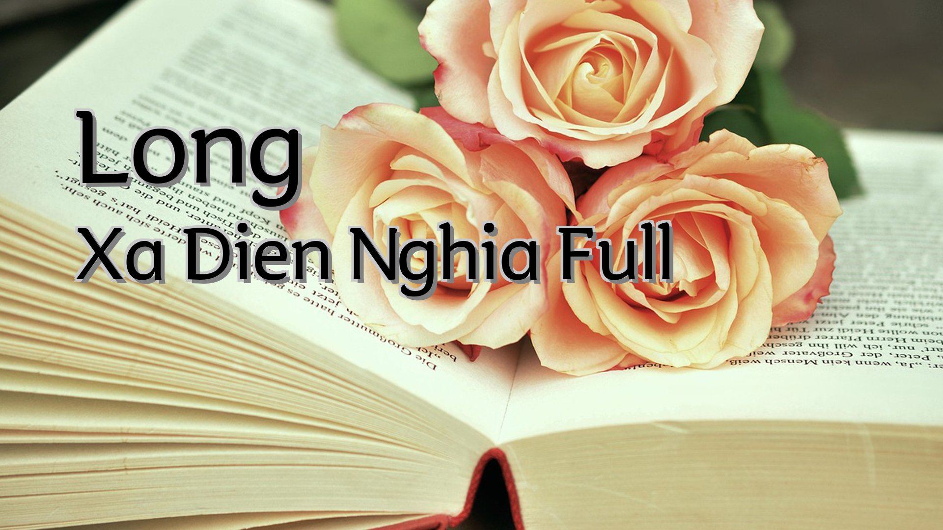 Cover image for Long Xa Dien Nghia Full