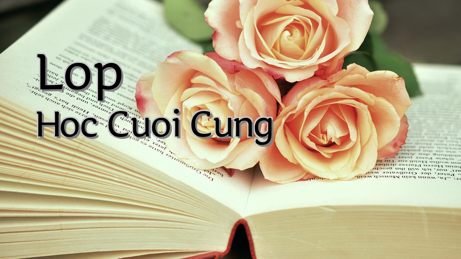 Cover image for Lop Hoc Cuoi Cung