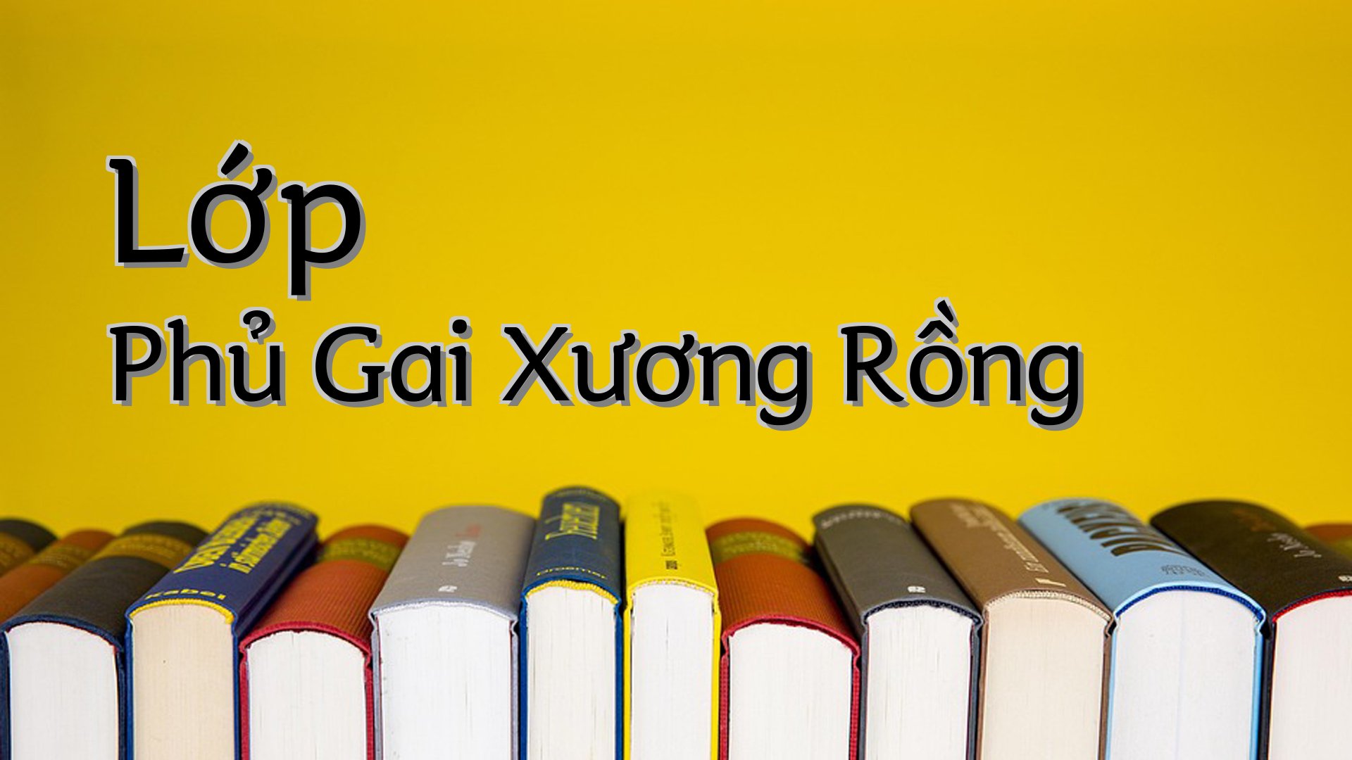 cover-Lớp Phủ Gai Xương Rồng