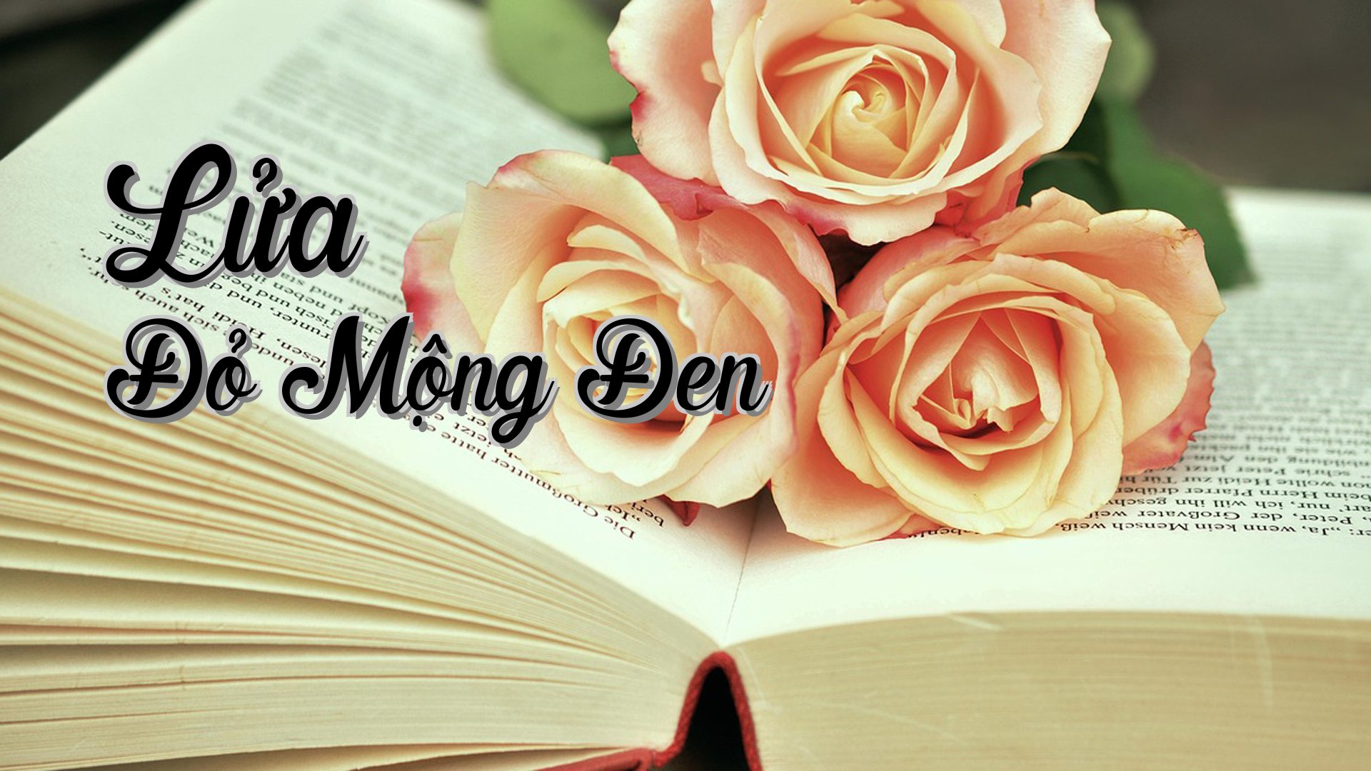 cover-Lửa Đỏ Mộng Đen