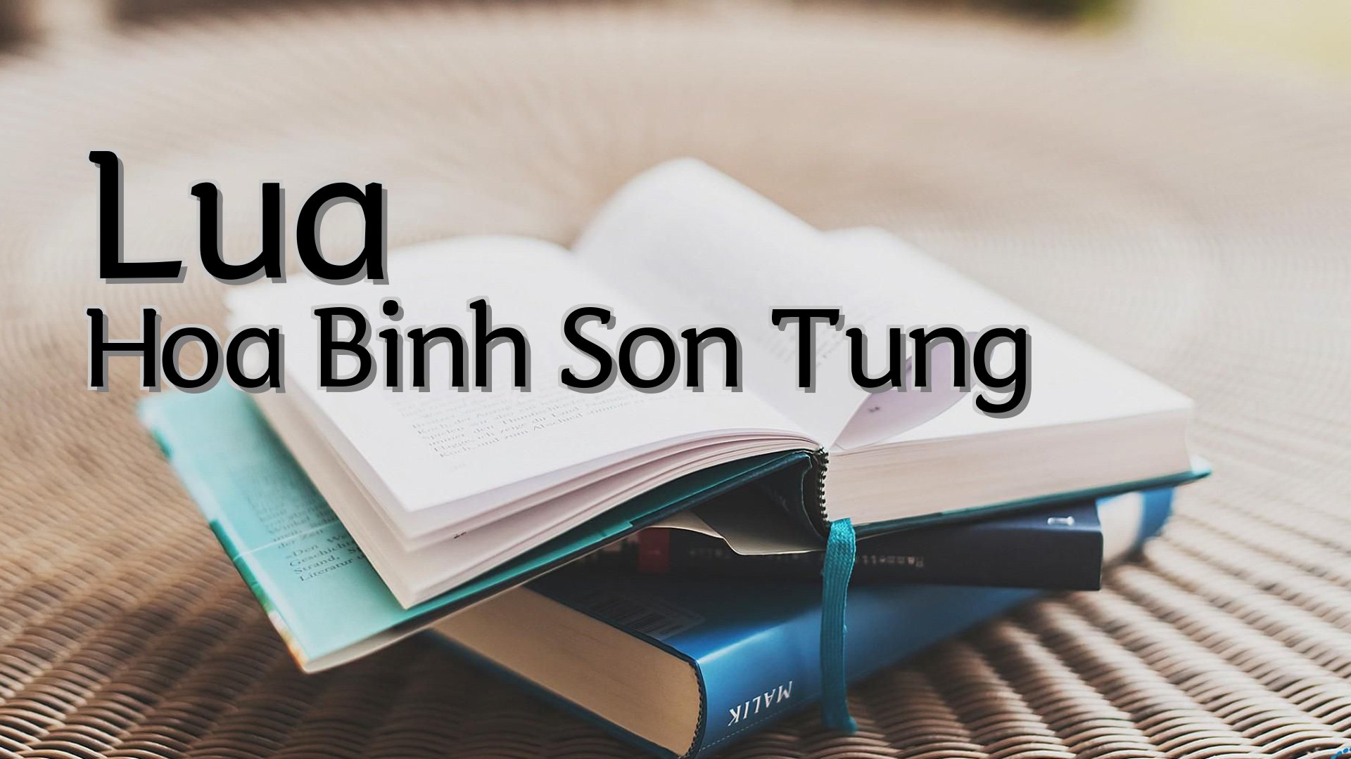 cover-Lua Hoa Binh Son Tung