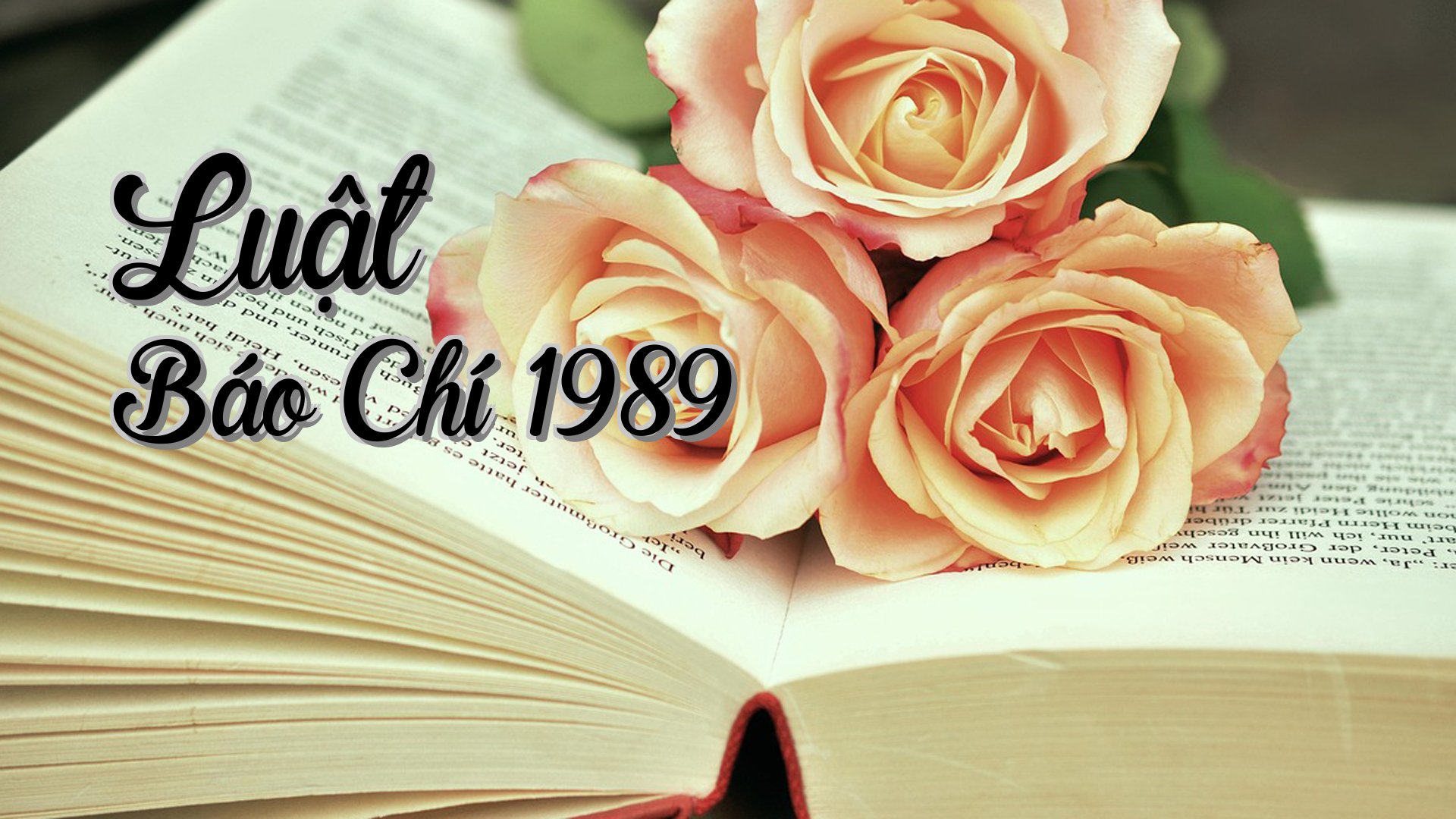 cover-Luật Báo Chí 1989