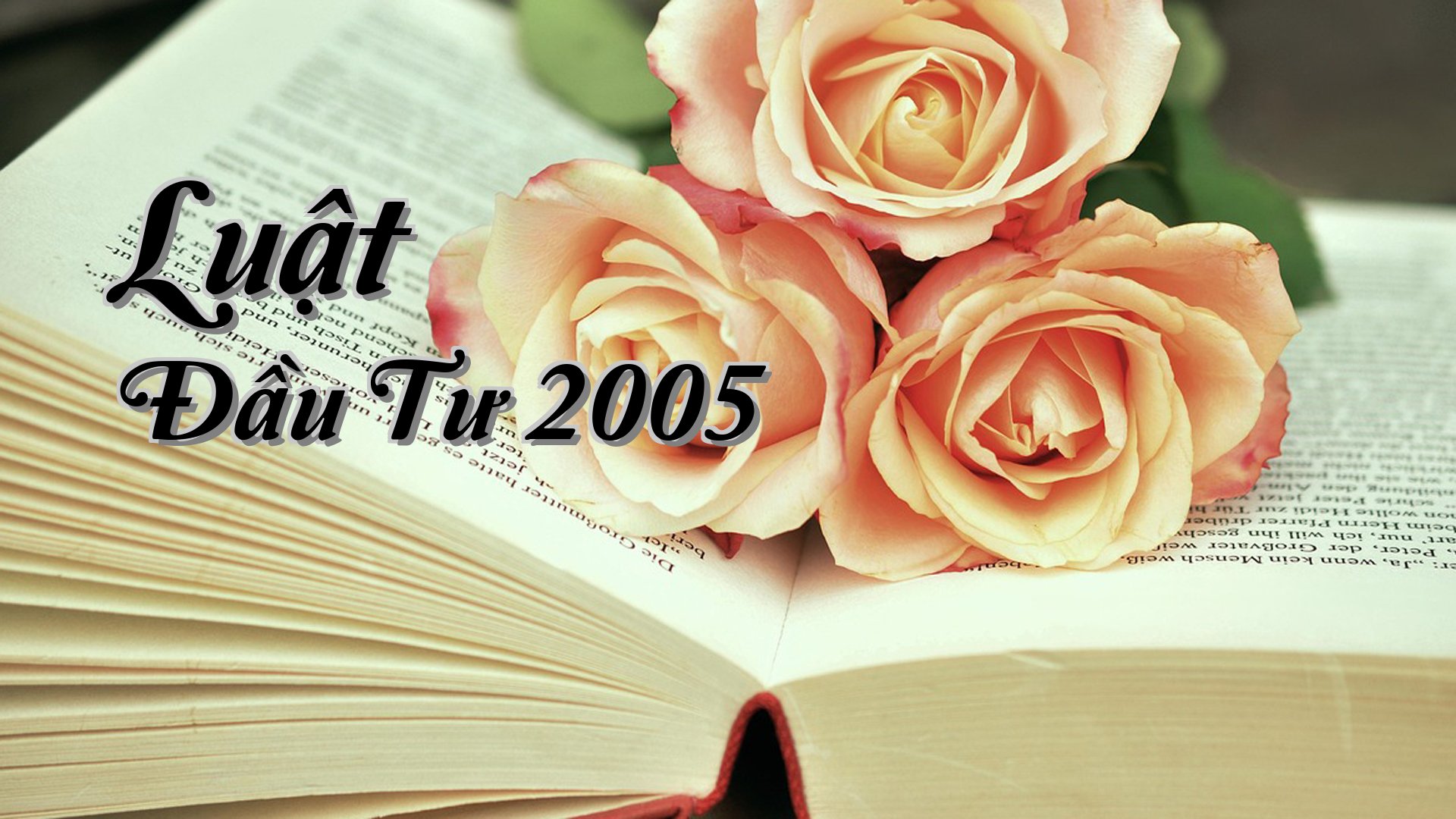 cover-Luật Đầu Tư 2005