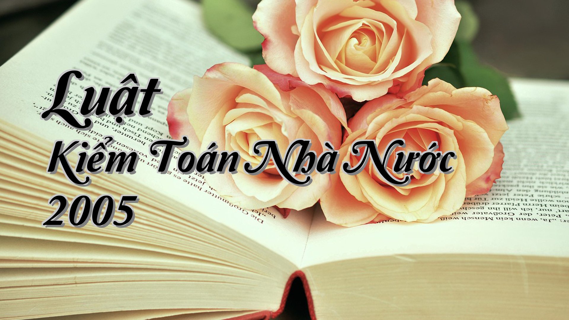 cover-Luật Kiểm Toán Nhà Nước 2005