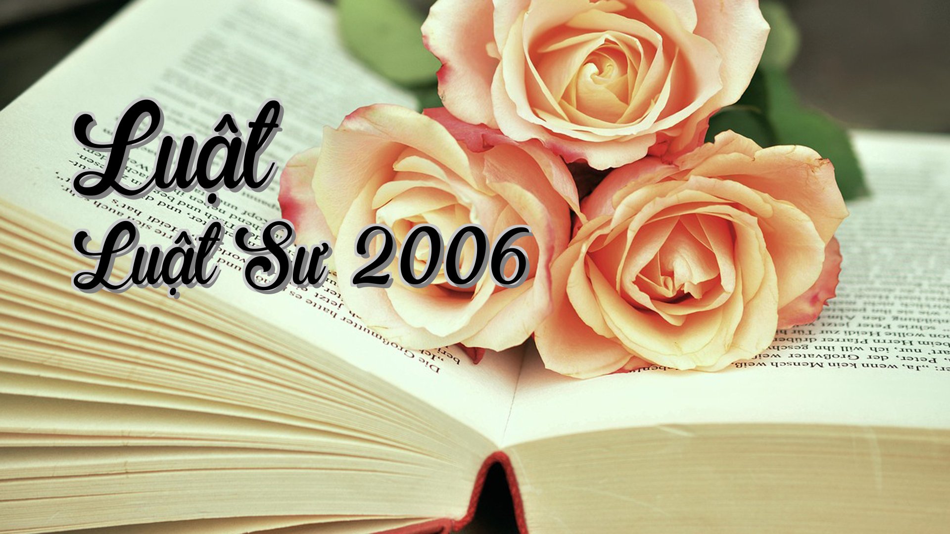 cover-Luật Luật Sư 2006