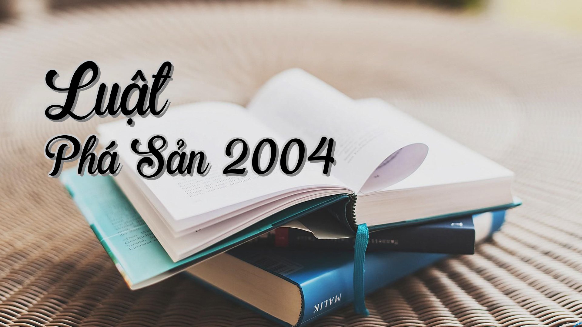 cover-Luật Phá Sản 2004