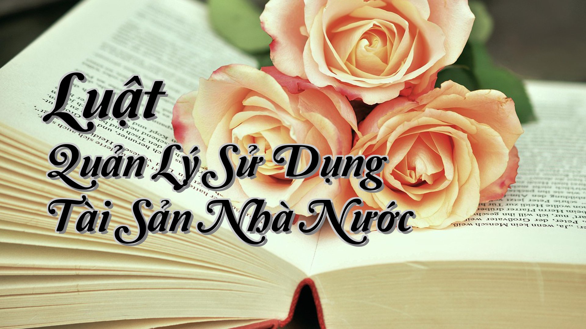 cover-Luật Quản Lý Sử Dụng Tài Sản Nhà Nước