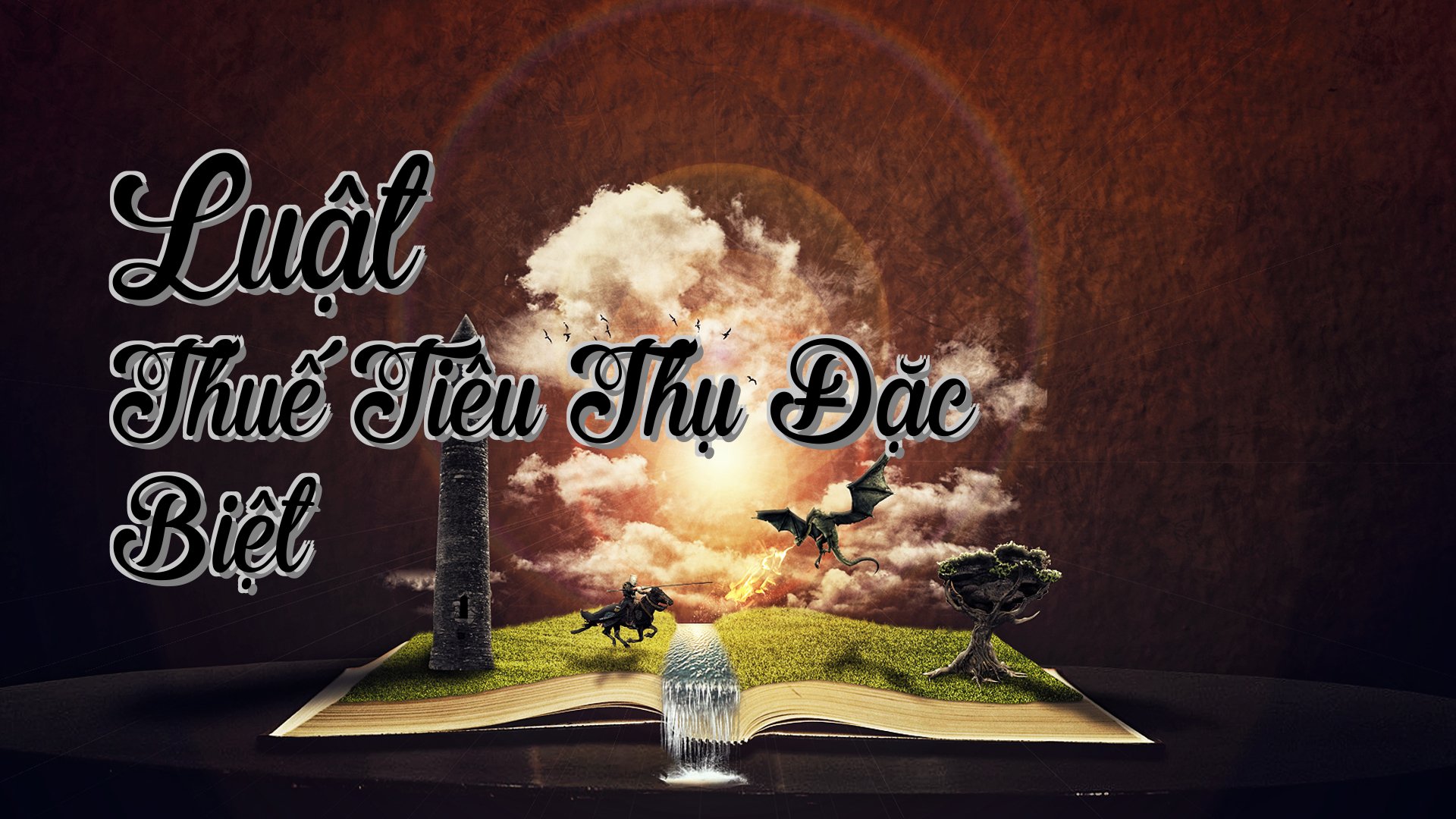 cover-Luật Thuế Tiêu Thụ Đặc Biệt