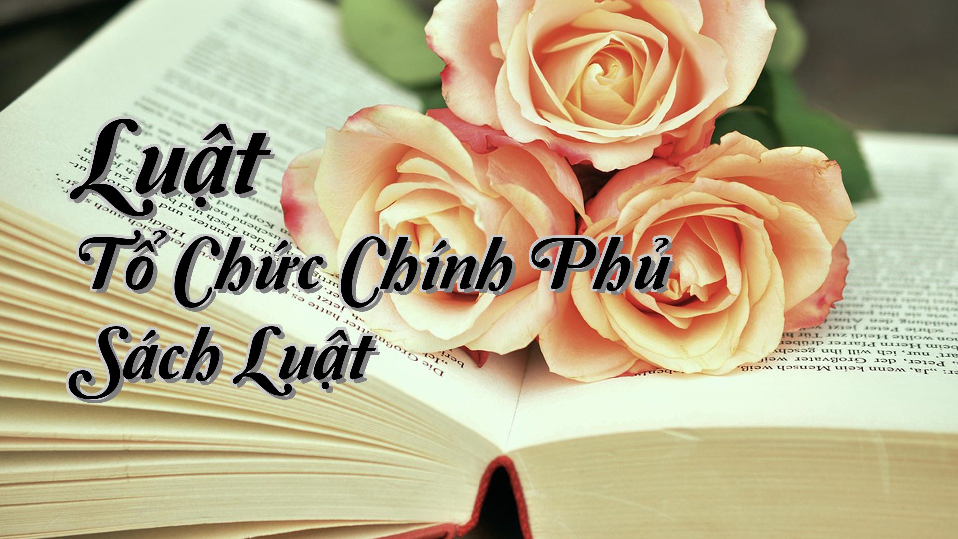 cover-Luật Tổ Chức Chính Phủ Sách Luật