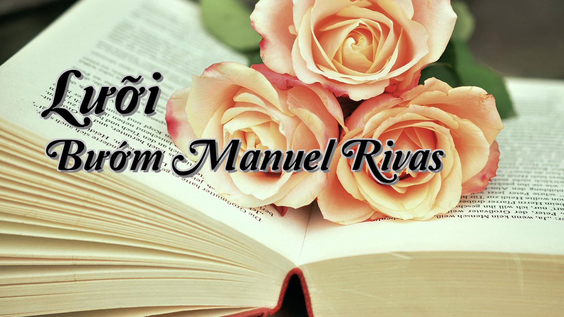 cover-Lưỡi Bướm Manuel Rivas