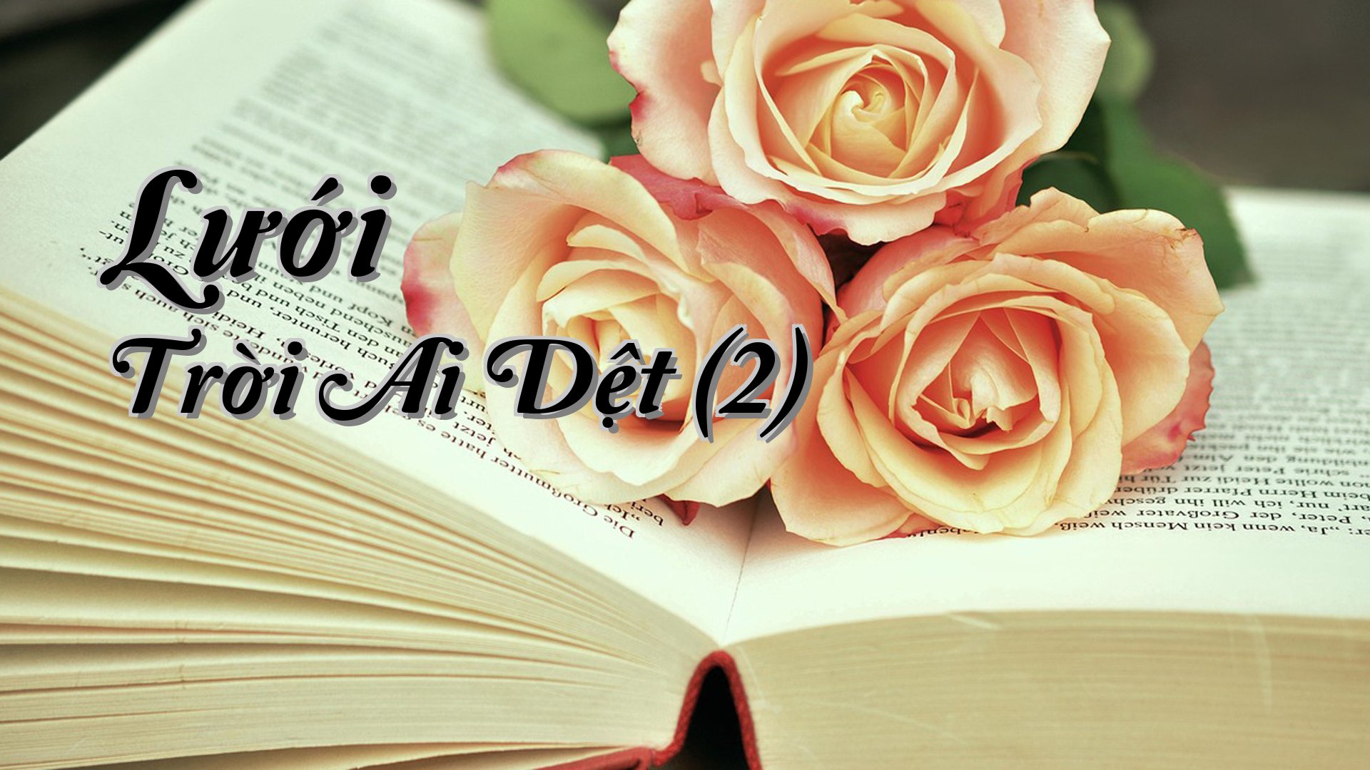 cover-Lưới Trời Ai Dệt (2)