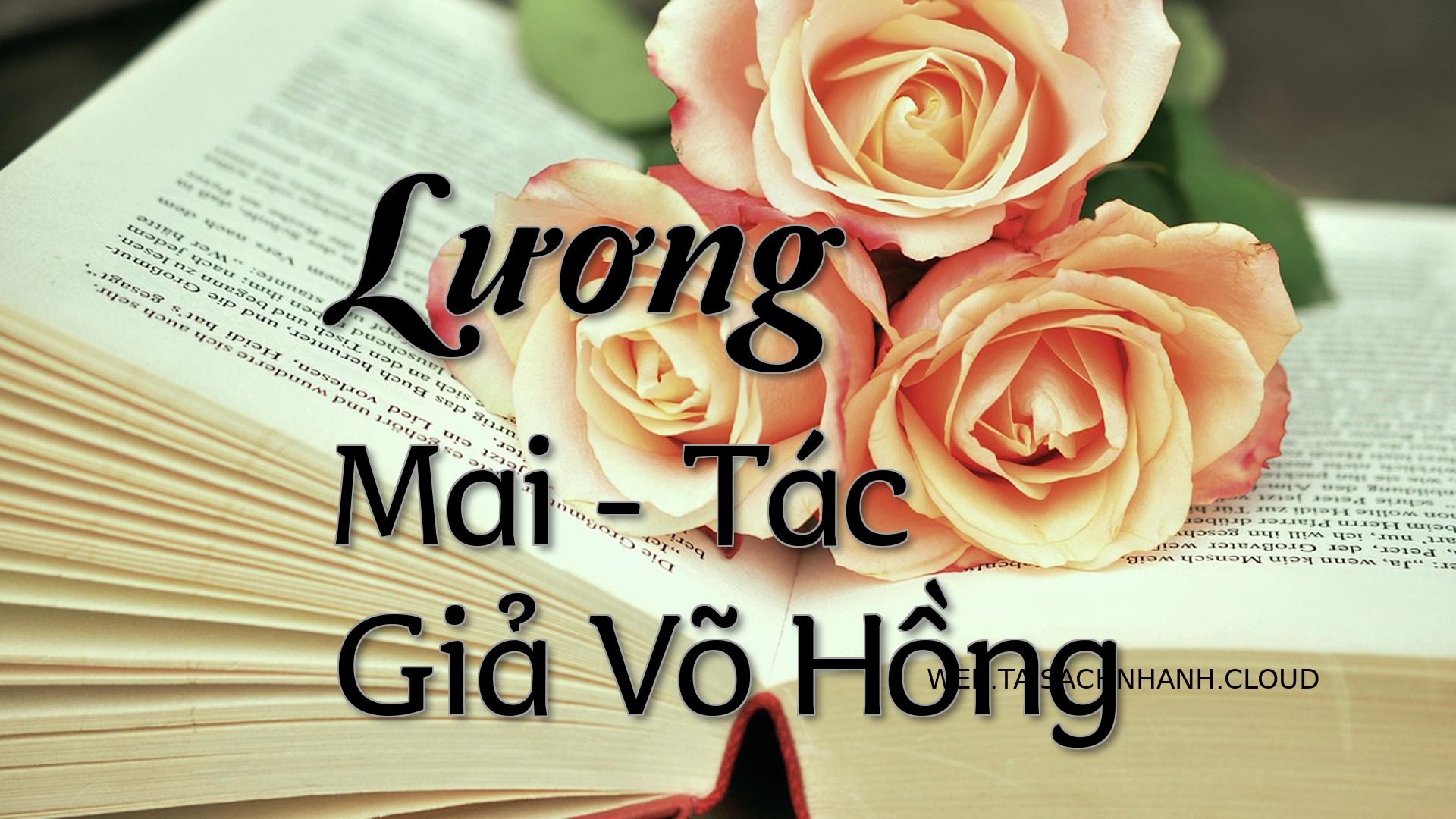 Cover Luong Mai.jpg