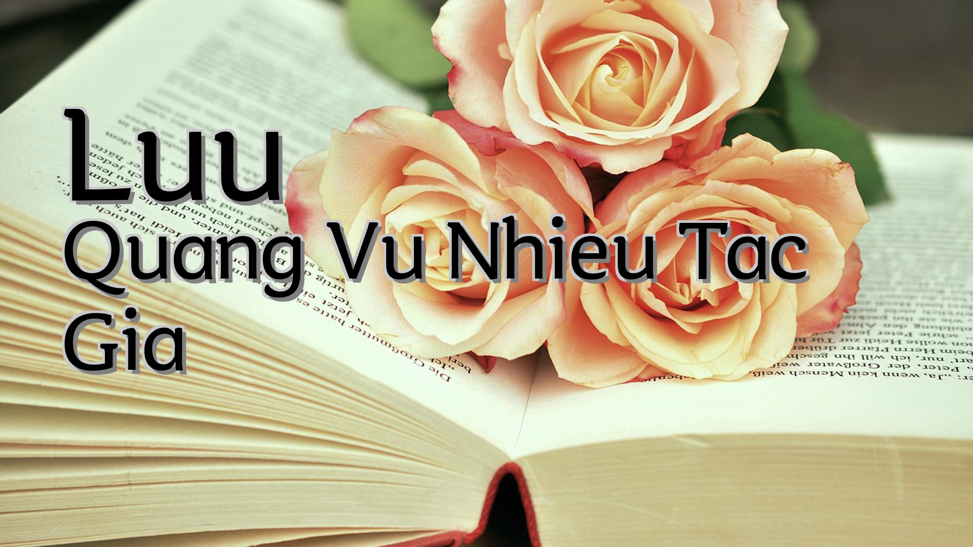 cover-Luu Quang Vu Nhieu Tac Gia