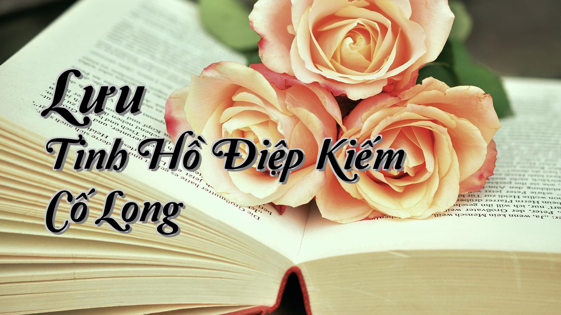 cover-Lưu Tinh Hồ Điệp Kiếm Cố Long