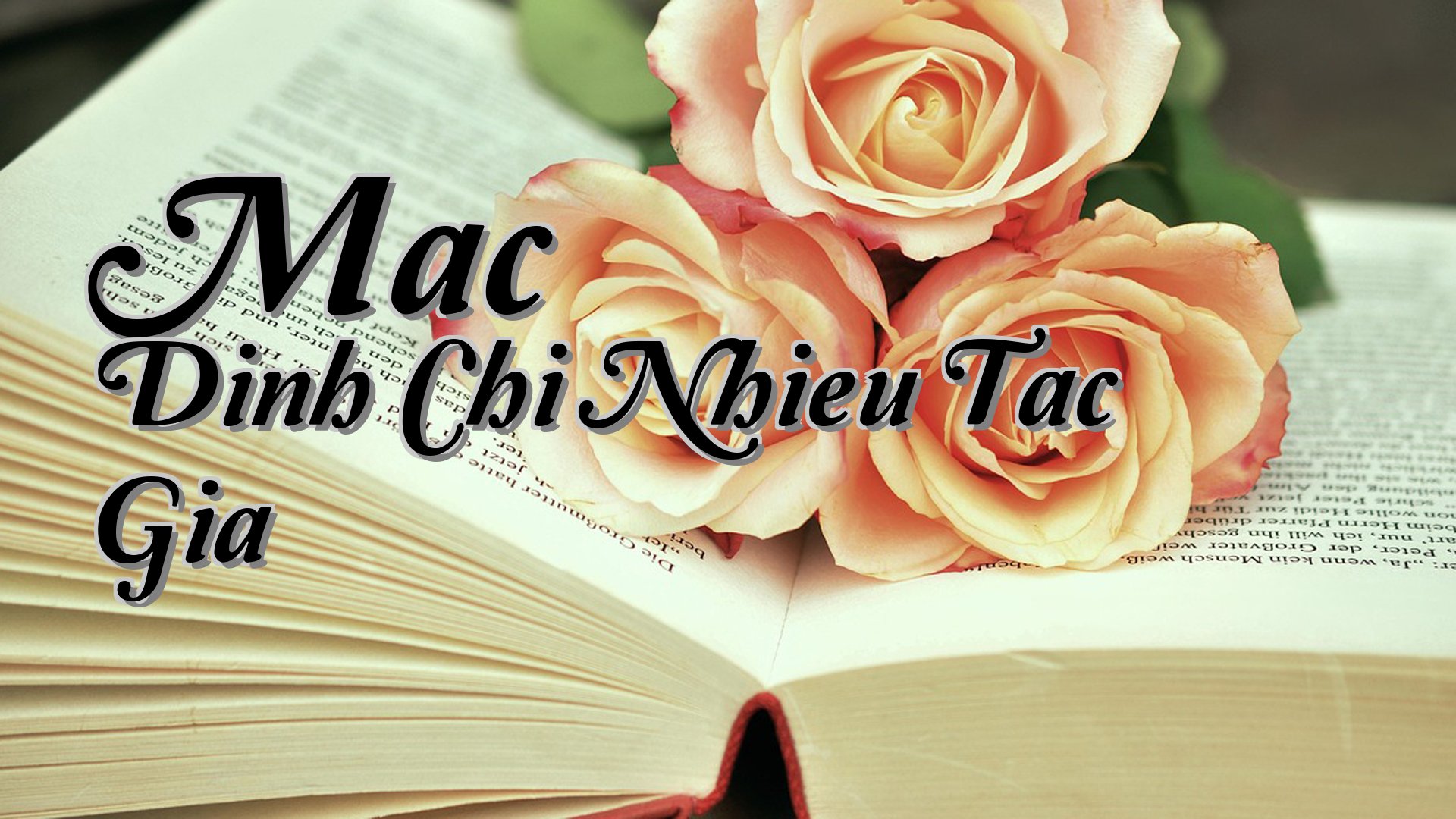 cover-Mac Dinh Chi Nhieu Tac Gia