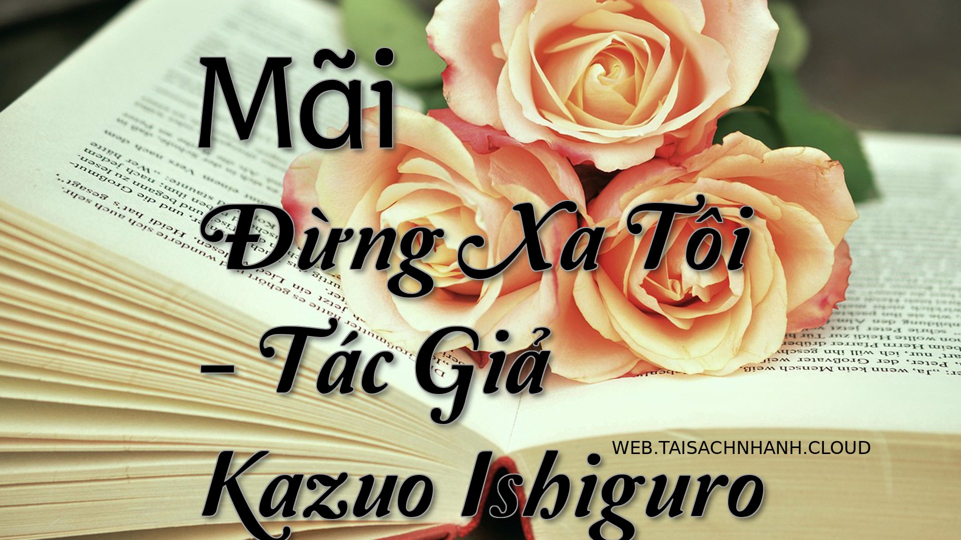Cover Mai Dung Xa Toi.jpg