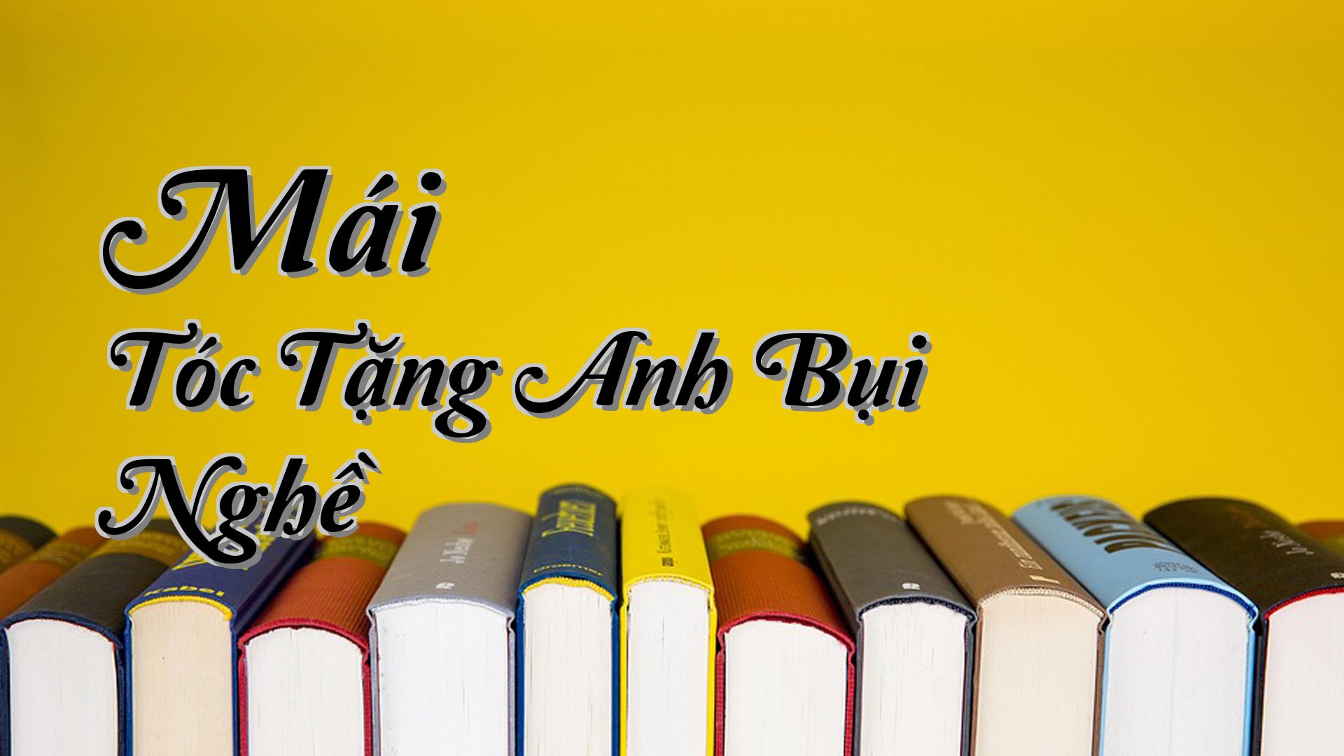cover-Mái Tóc Tặng Anh Bụi Nghề
