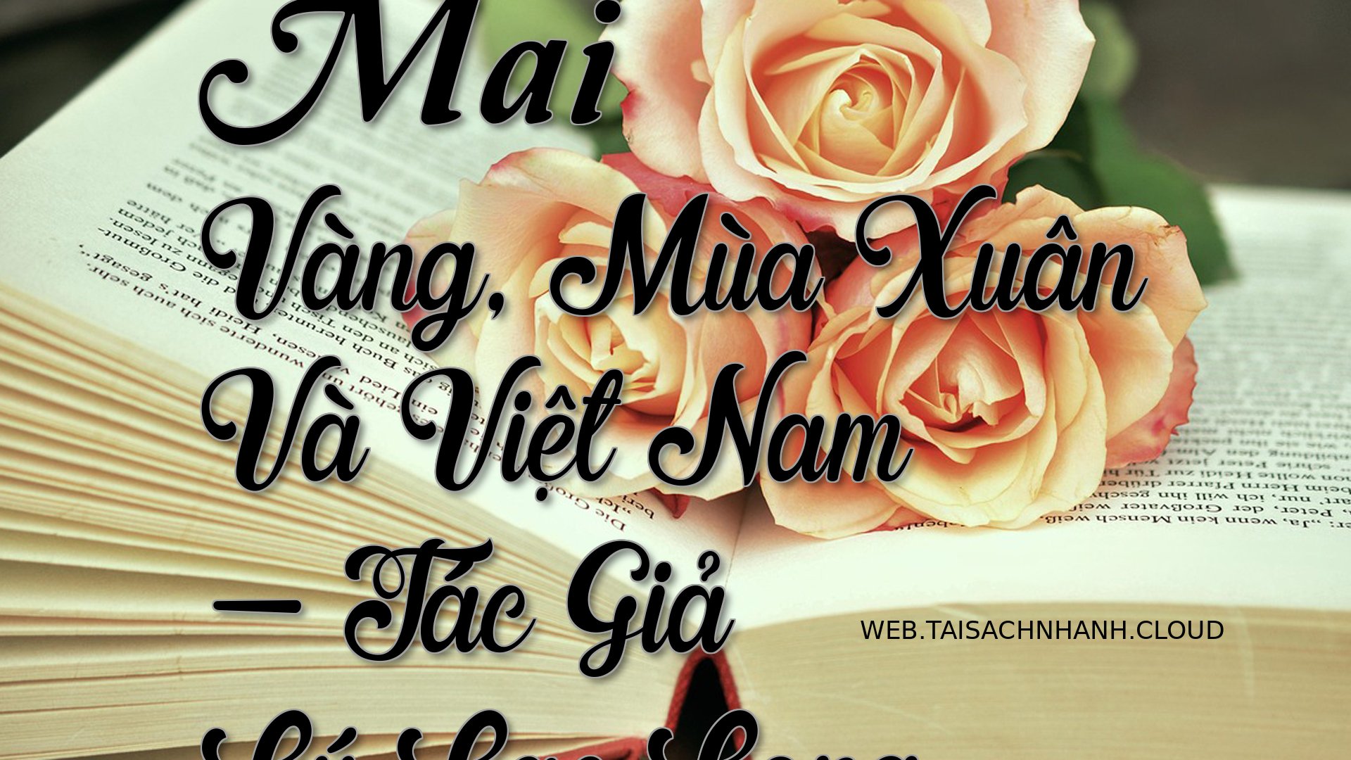 Cover Mai Vang Mua Xuan .jpg