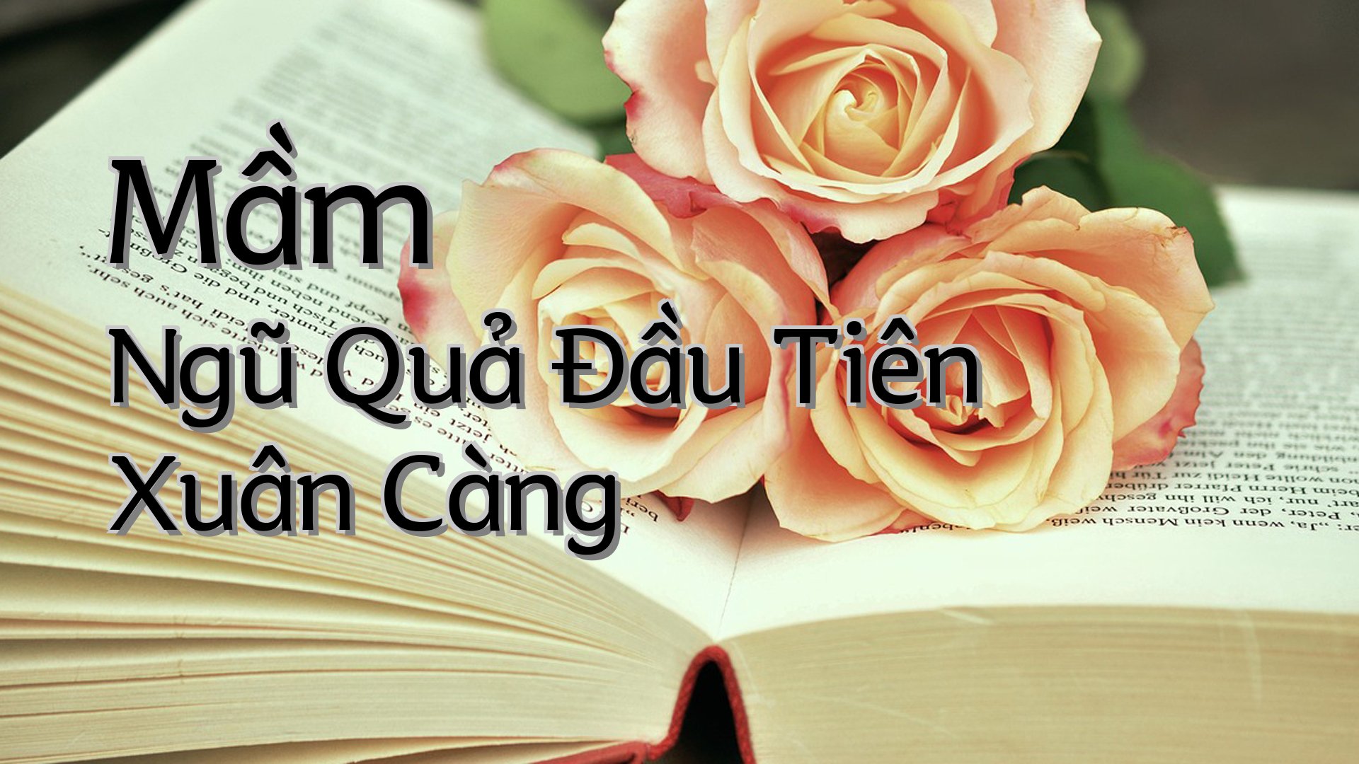 cover-Mầm Ngũ Quả Đầu Tiên Xuân Càng