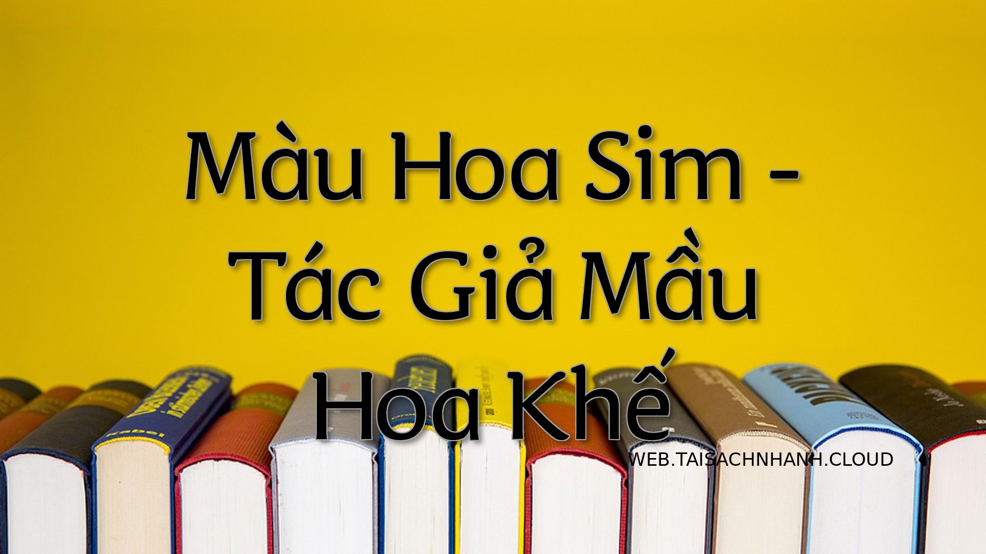 Cover Mau Hoa Sim.jpg