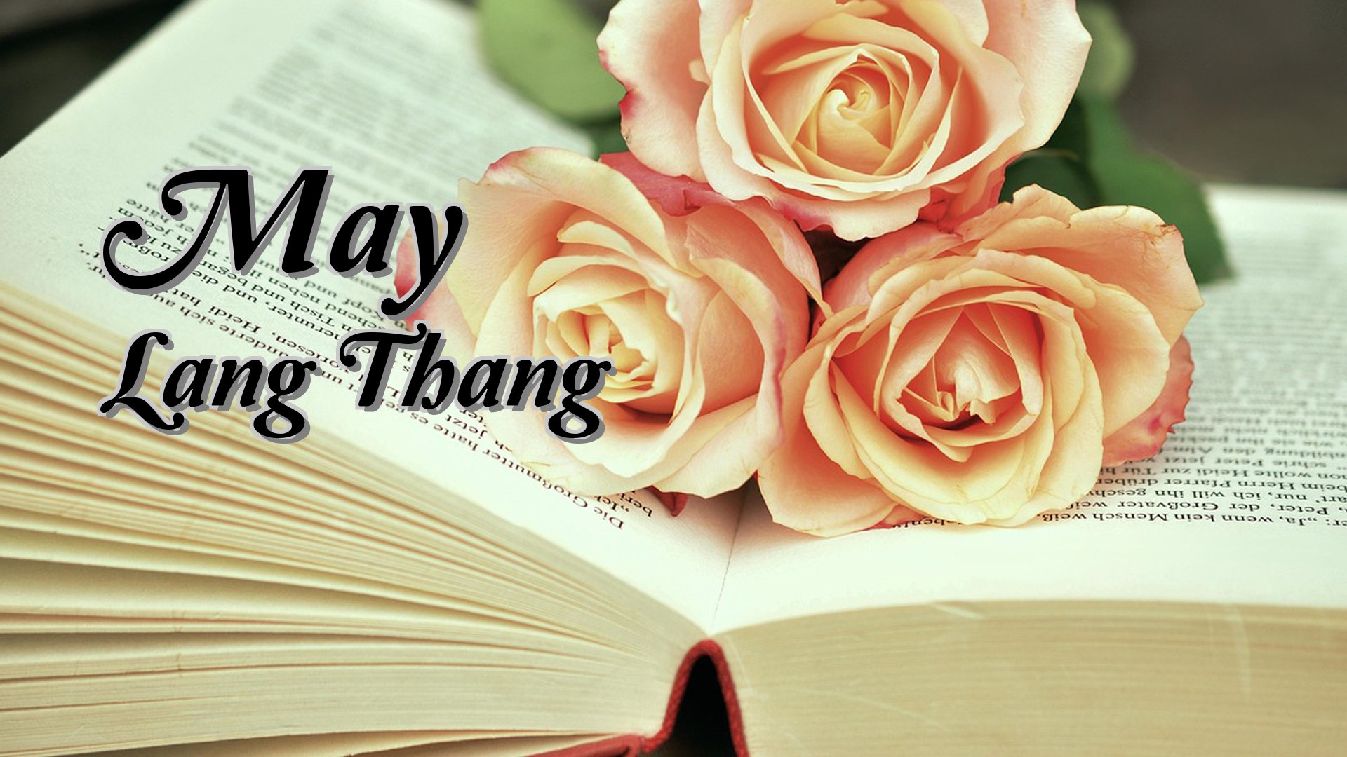 cover-May Lang Thang