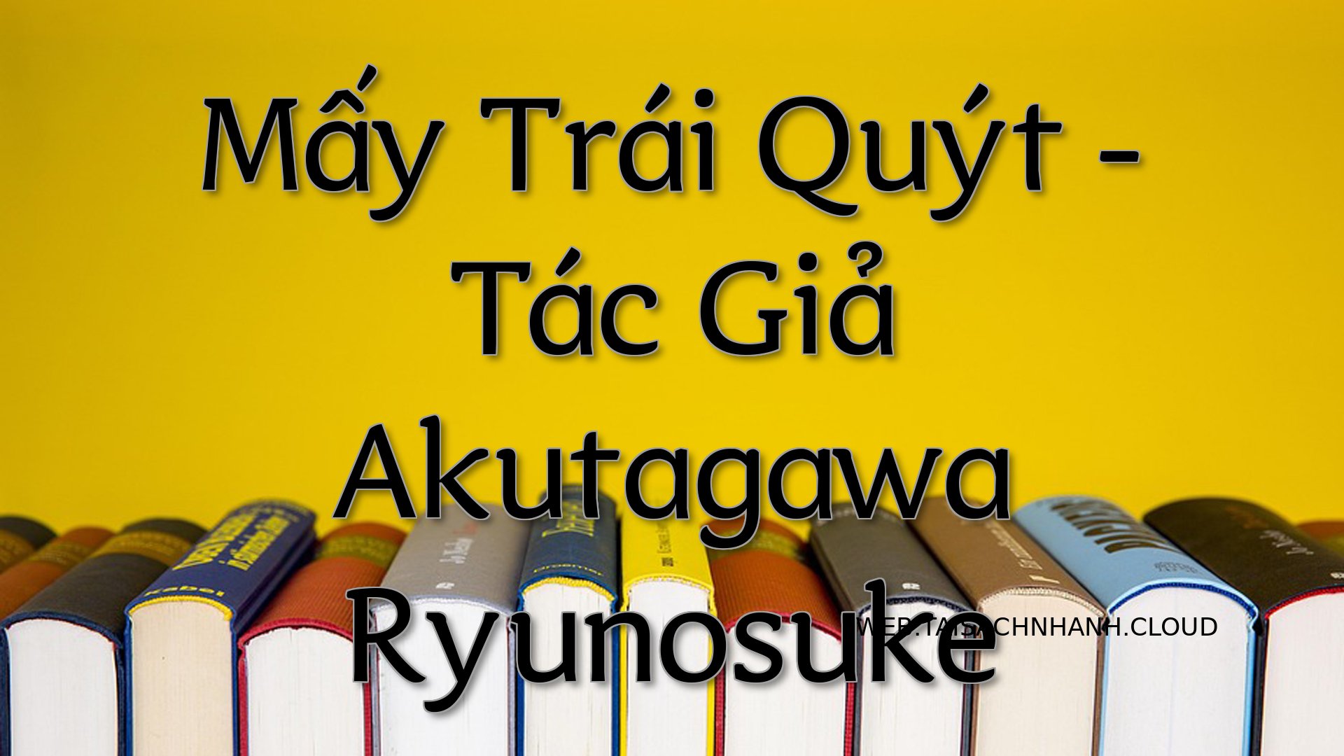 Cover May Trai Quyt.jpg